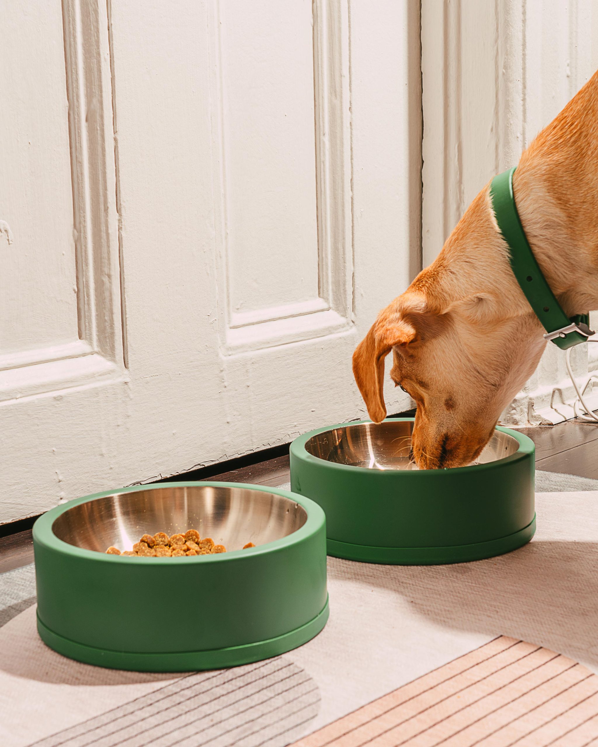 Dog Bowl - Image 4