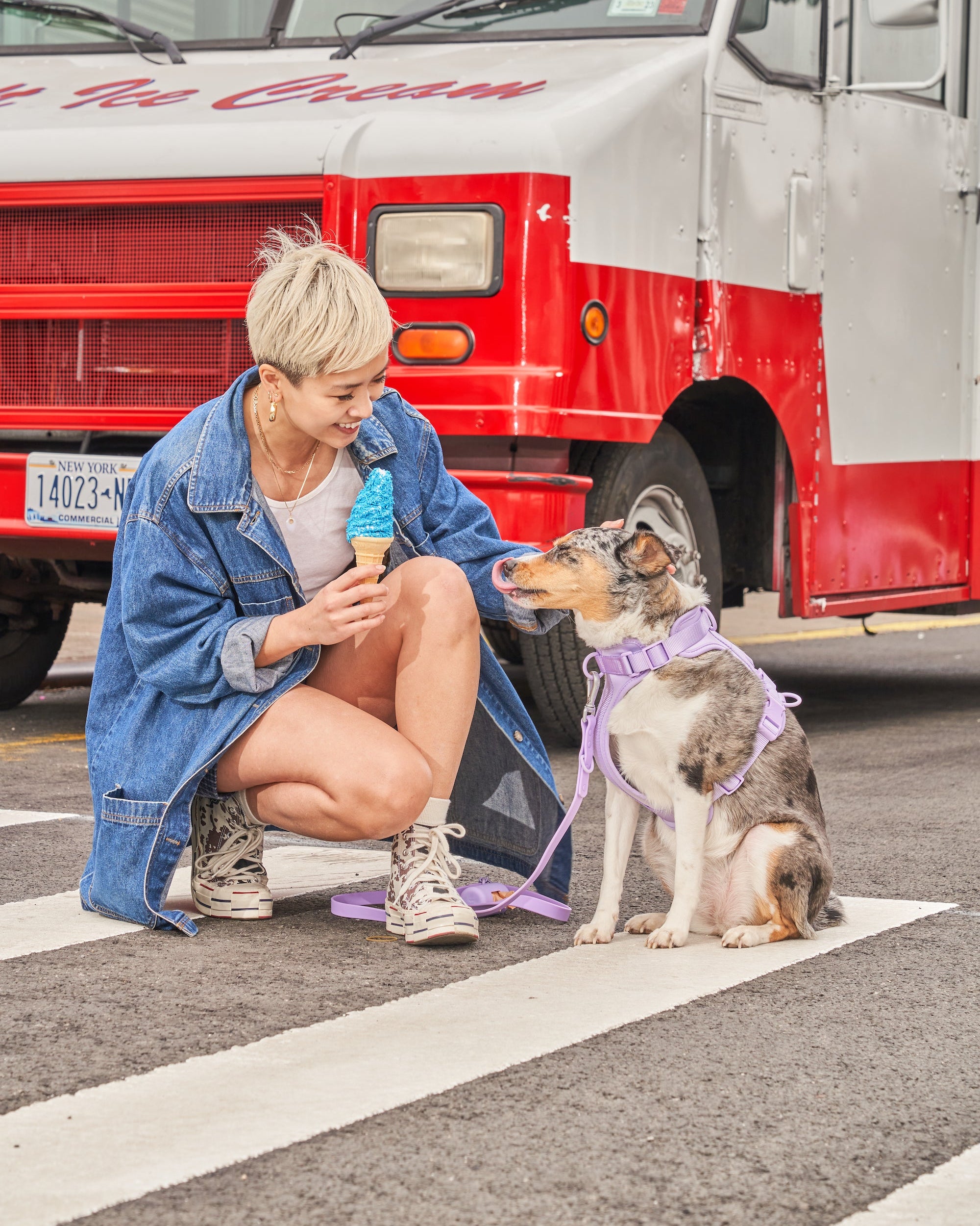 Cushioned Dog Harness - Image 46