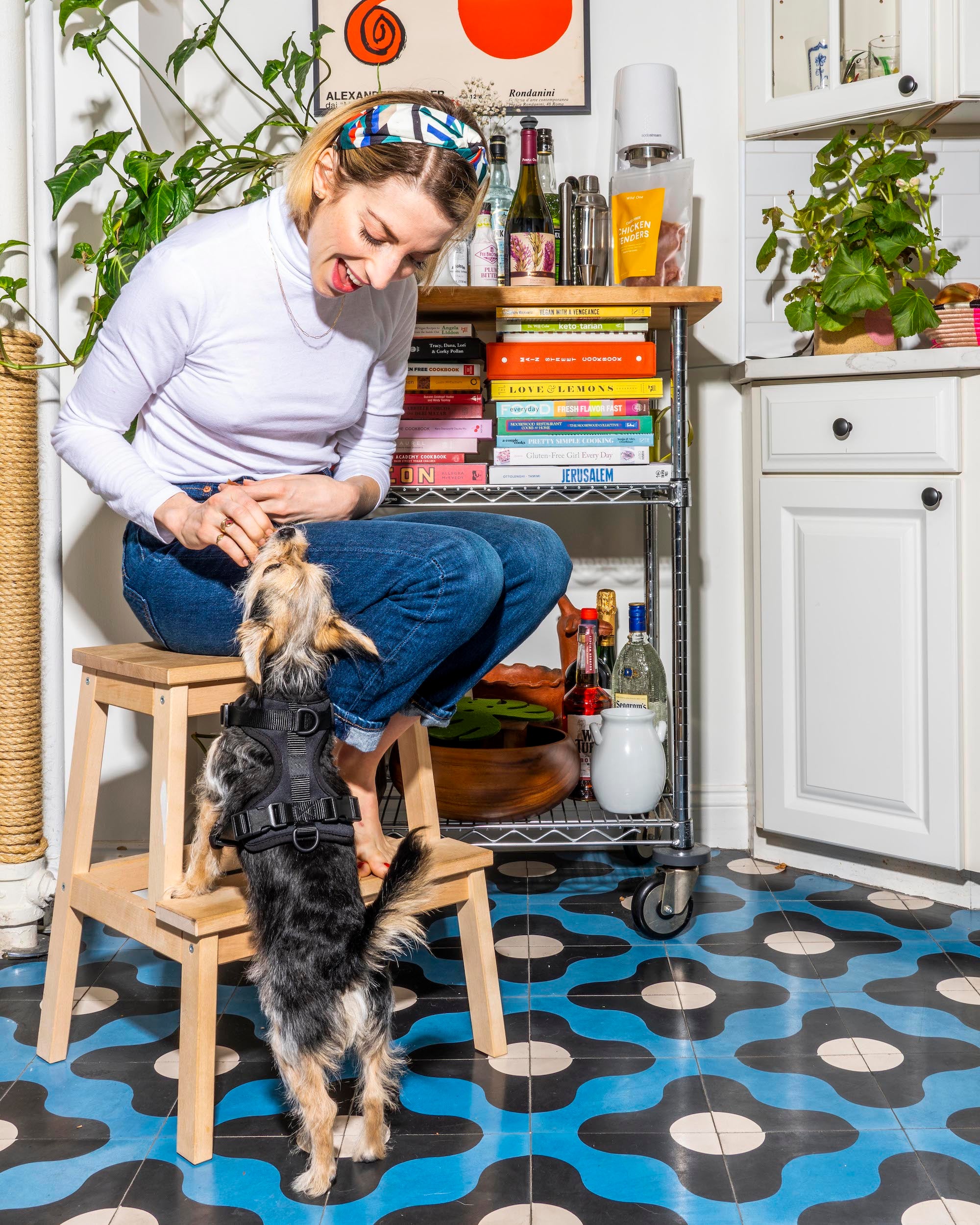 Cushioned Dog Harness - Image 53