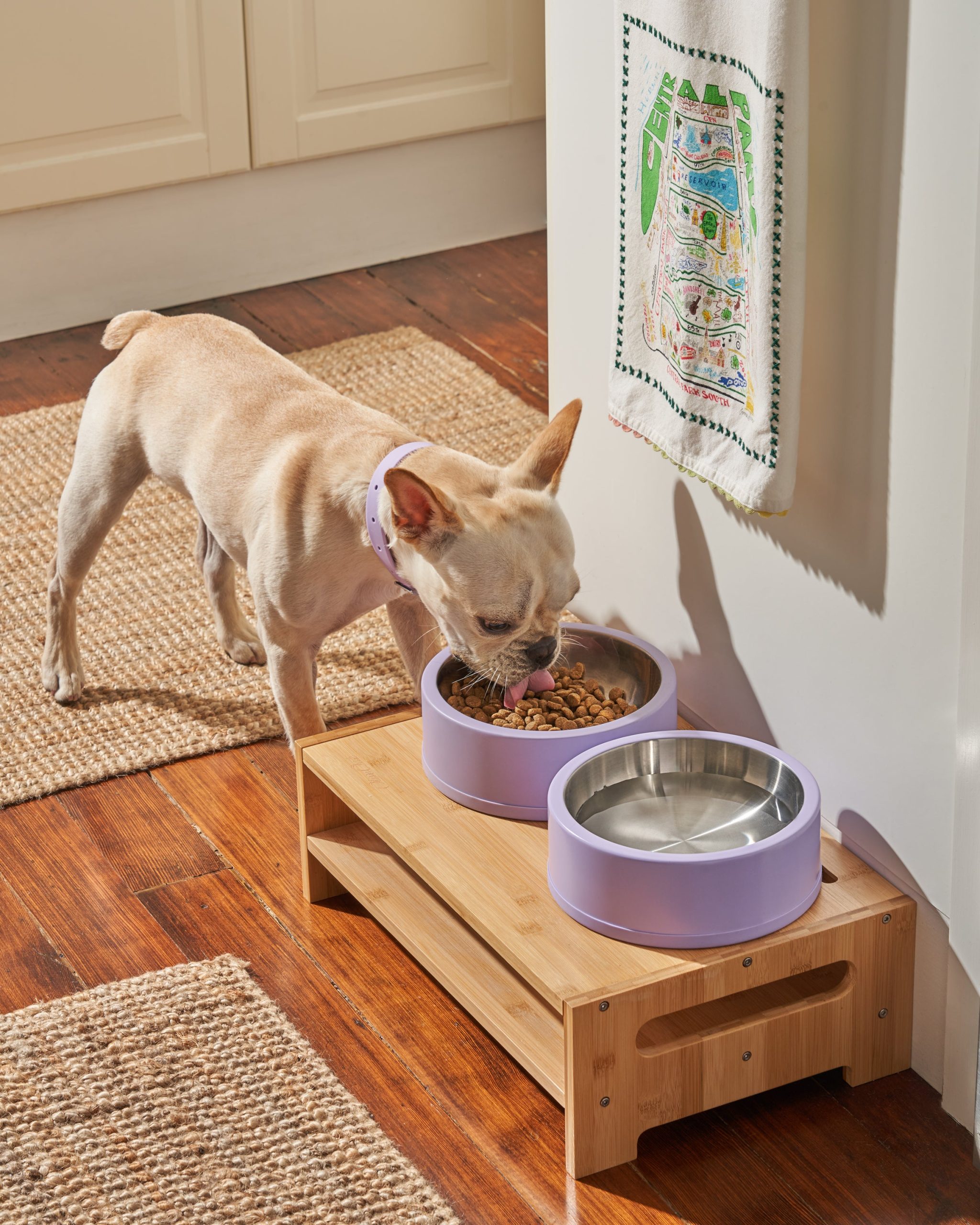 Dog Bowl - Image 8