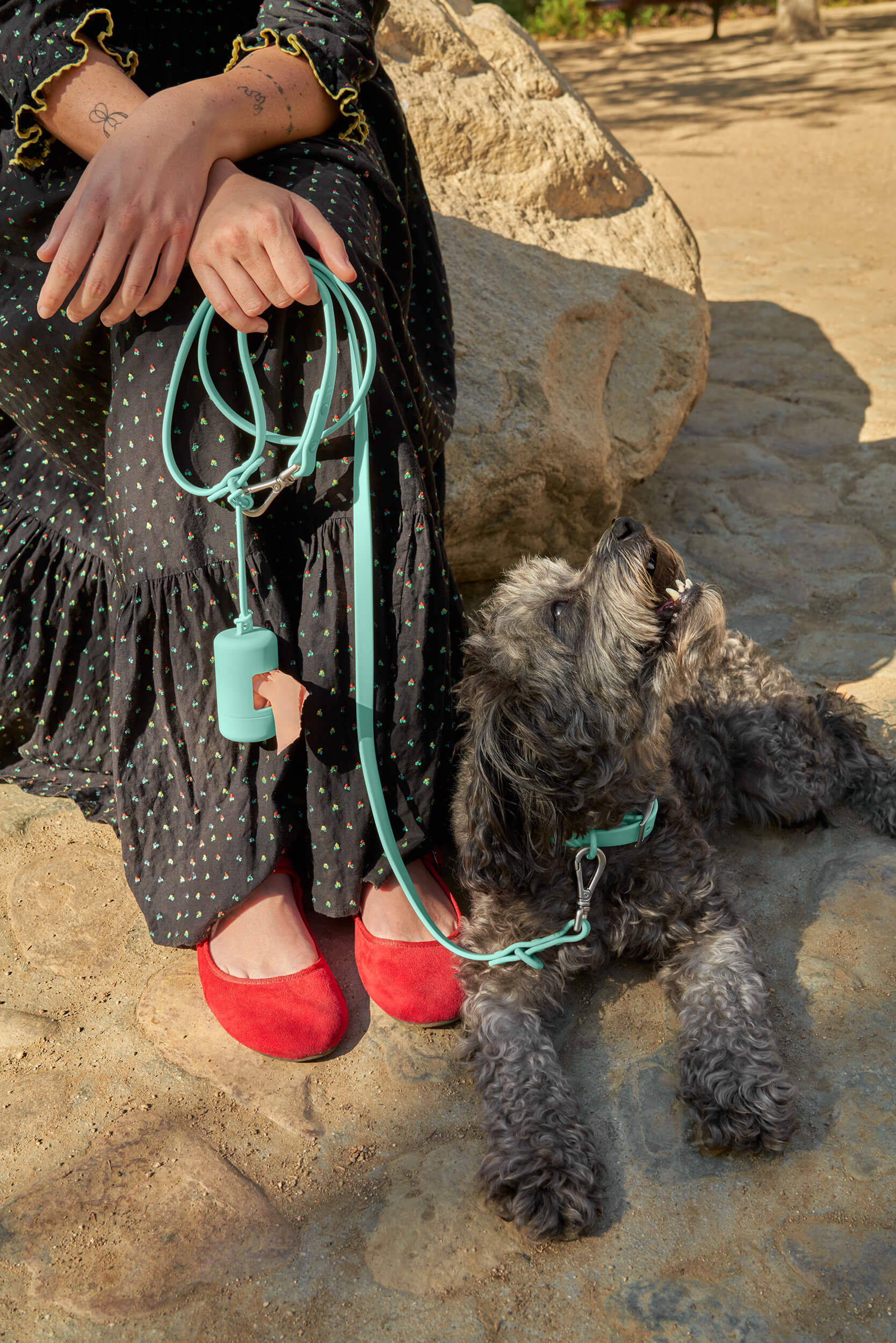 Poop Bag Carrier - Image 71