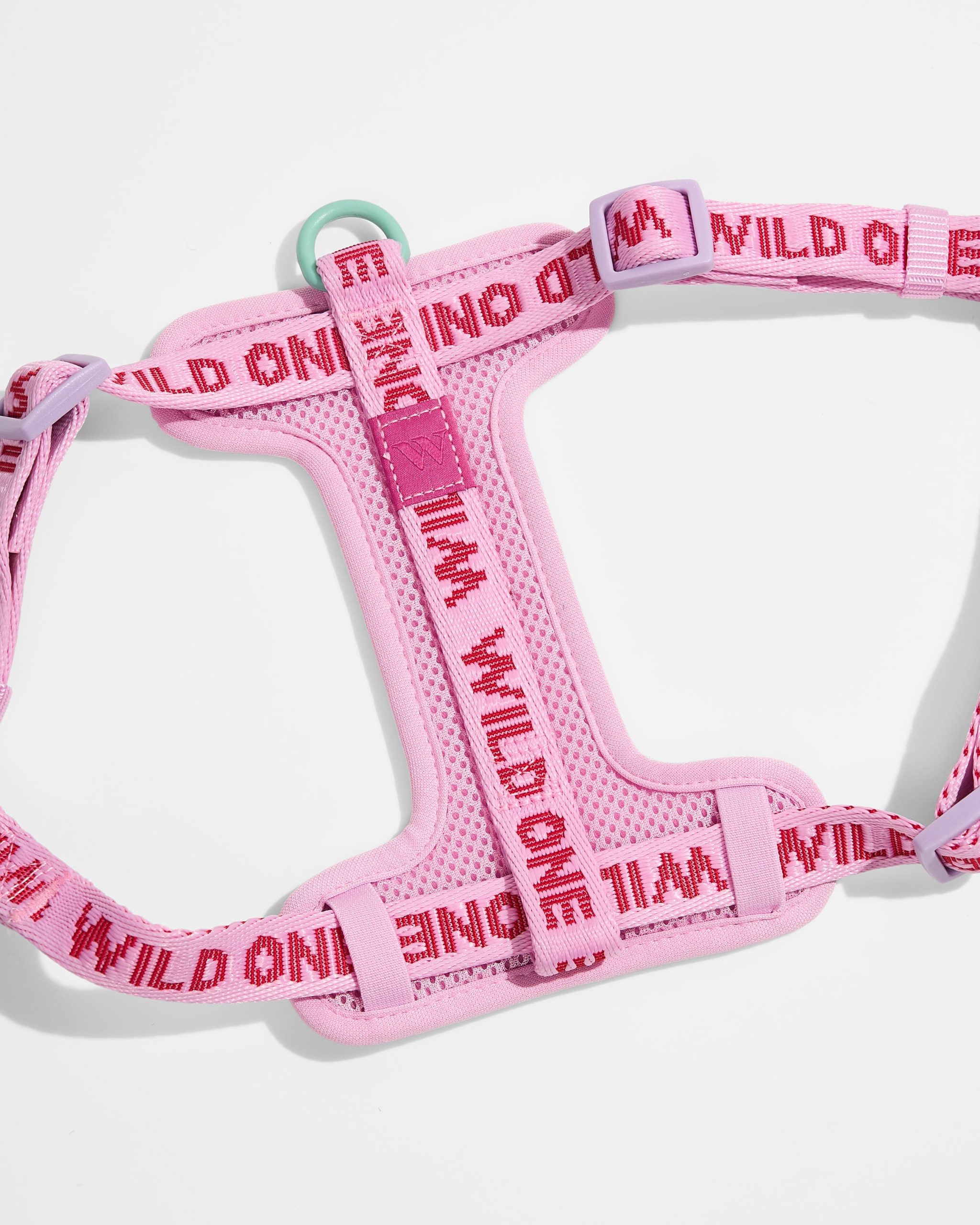 Step-In Harness + Lightweight Leash Walk Kit - Image 3