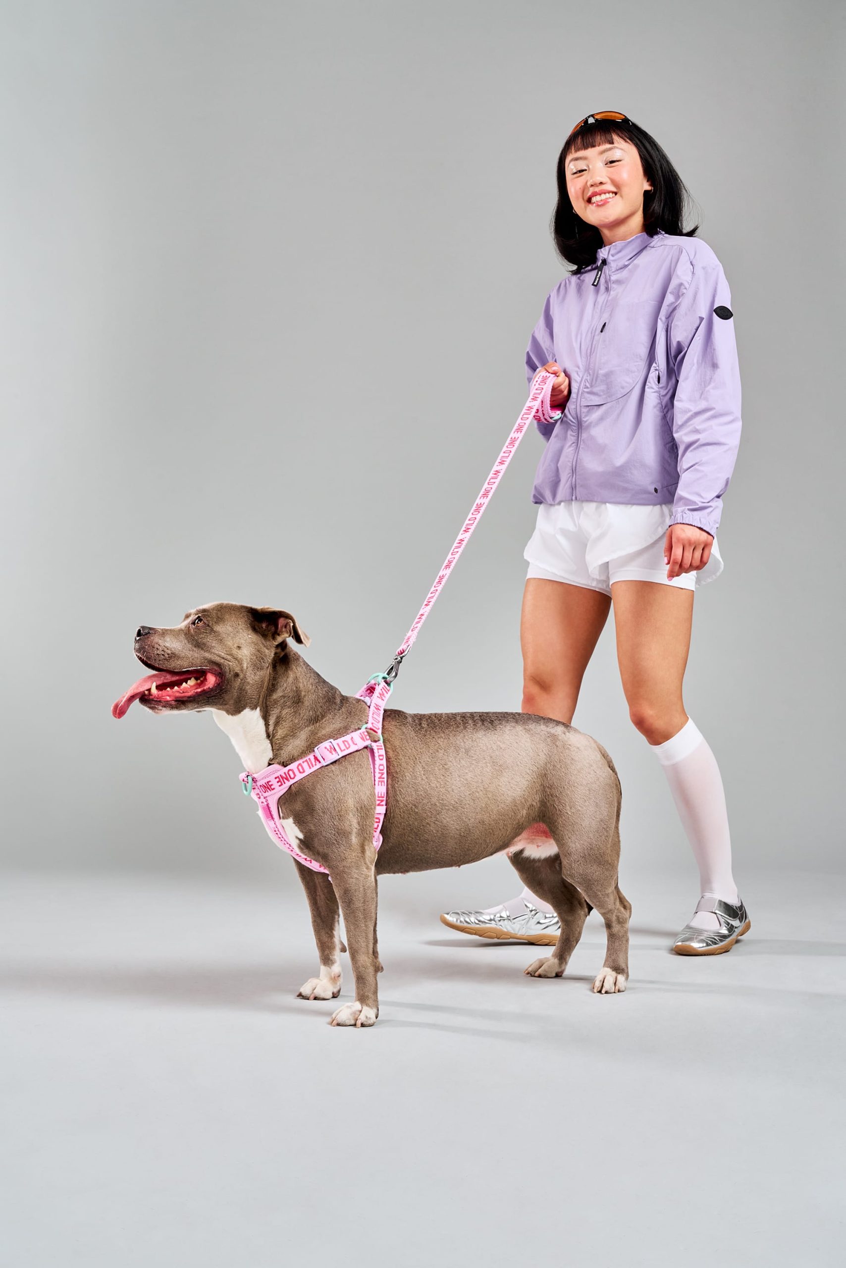 Step-In Dog Harness - Image 14
