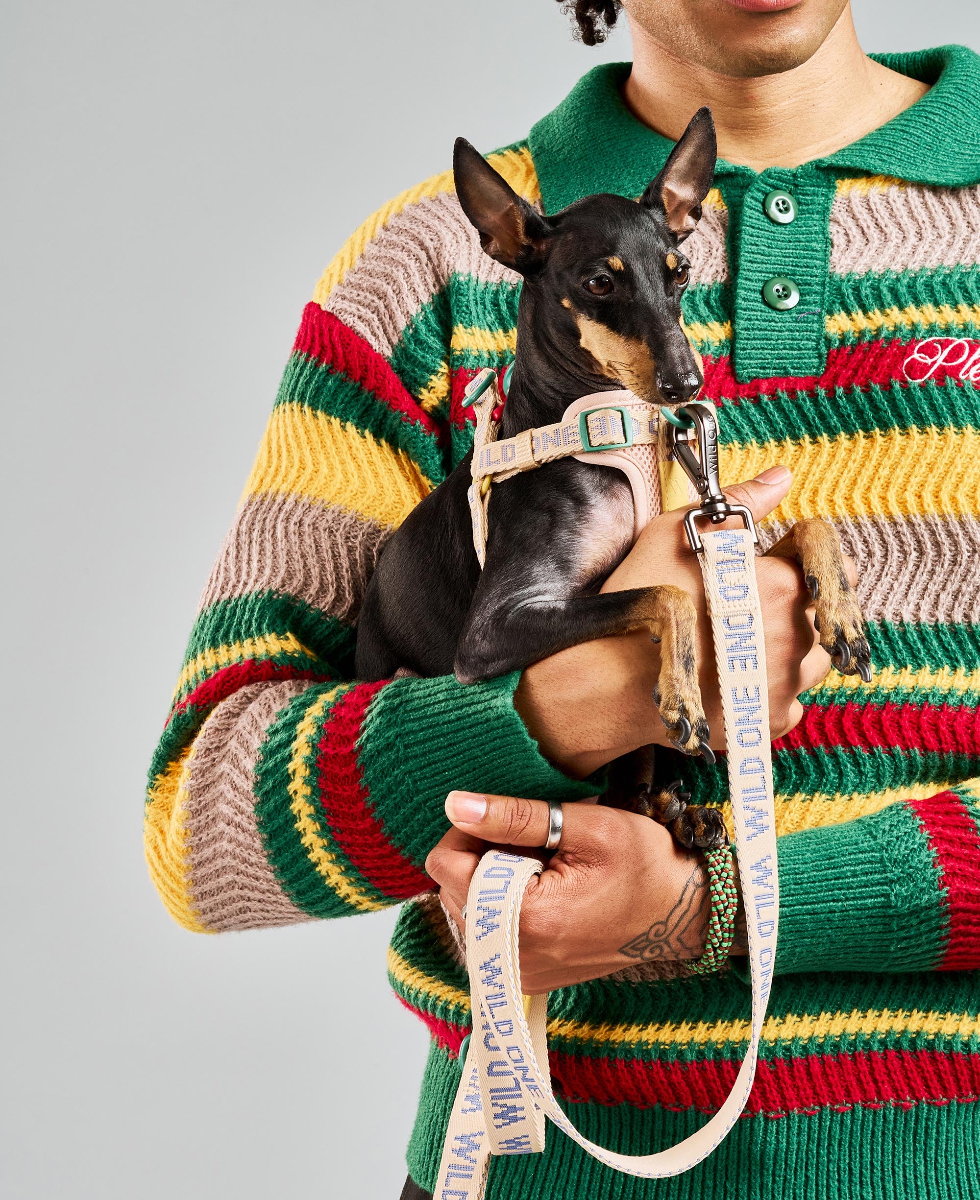Step-In Dog Harness - Image 7