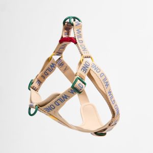Step-In Dog Harness