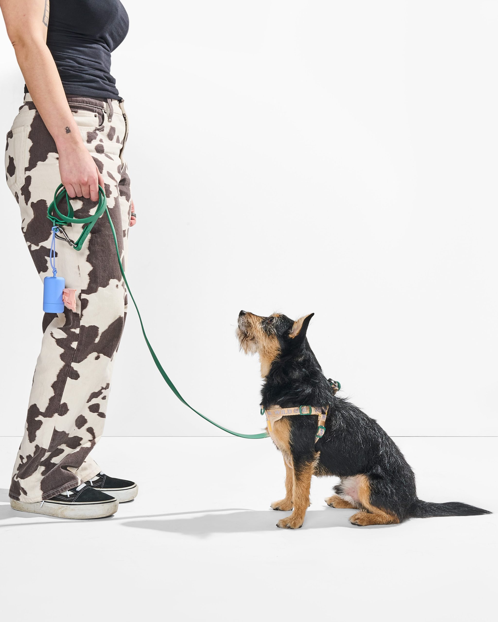 Step-In Harness + Waterproof Leash Walk Kit - Image 6