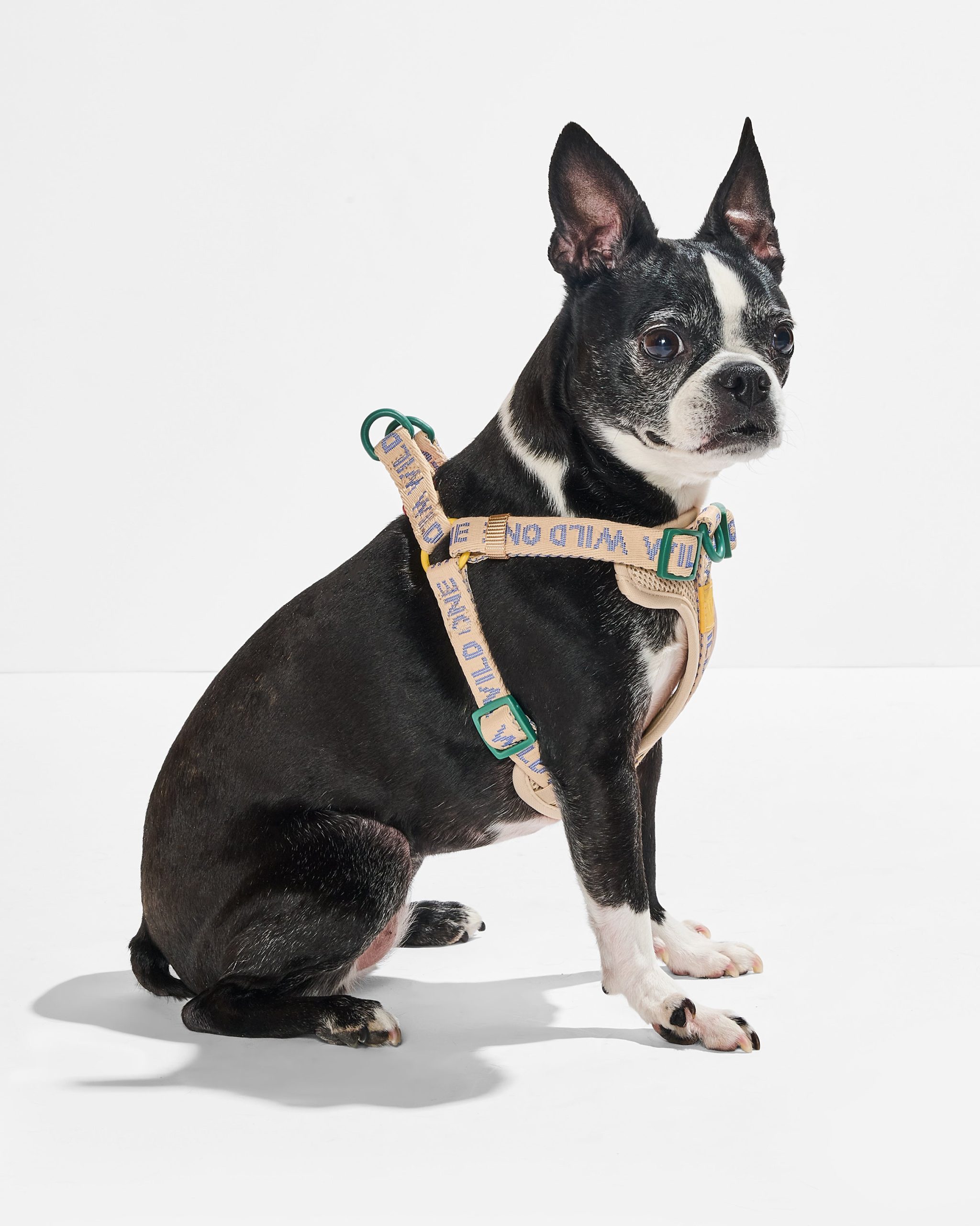 Step-In Dog Harness - Image 2