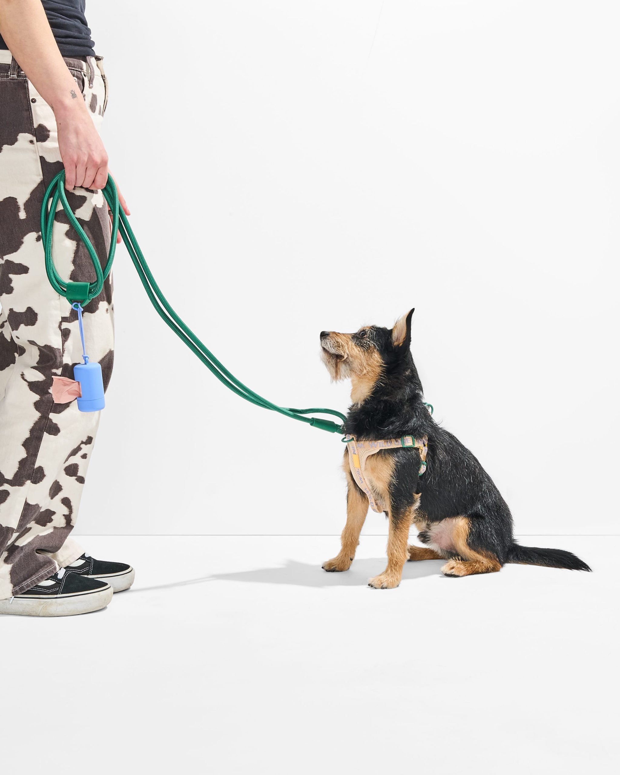 Step-In Harness + Hands-Free Rope Leash Walk Kit - Image 6