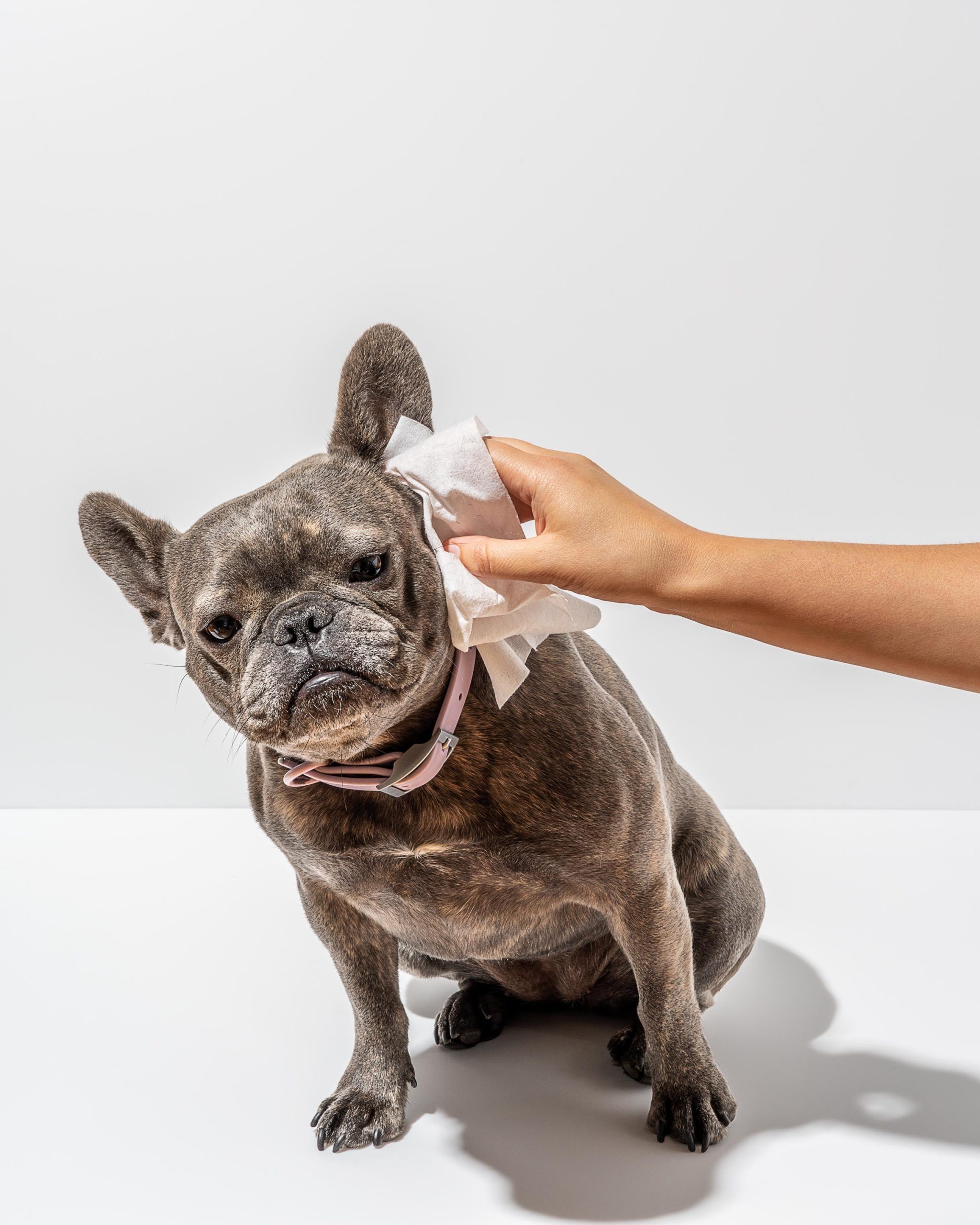 Dog Grooming Wipes - Image 2