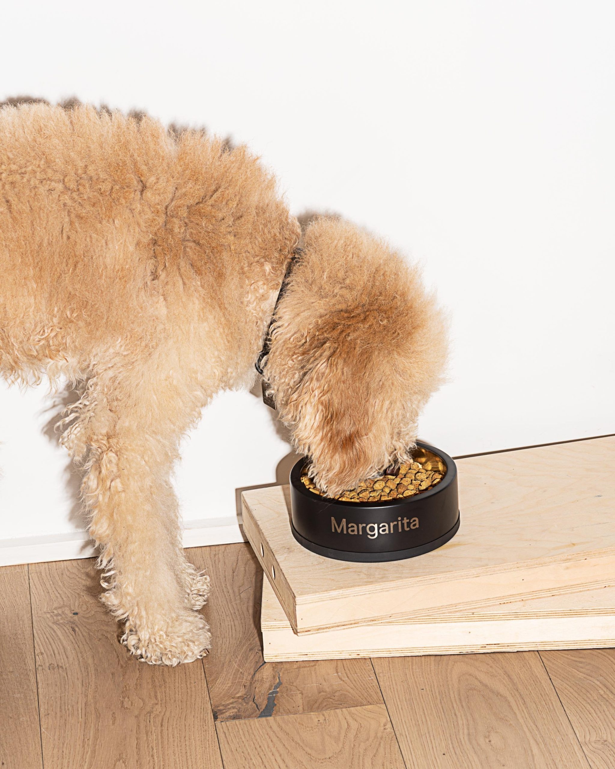 Dog Bowl - Image 13