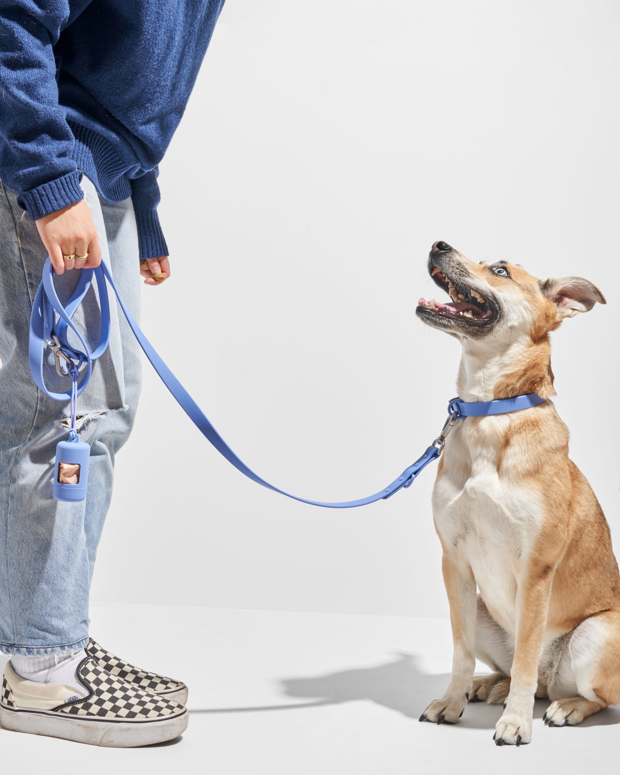 Waterproof Dog Collar - Image 26