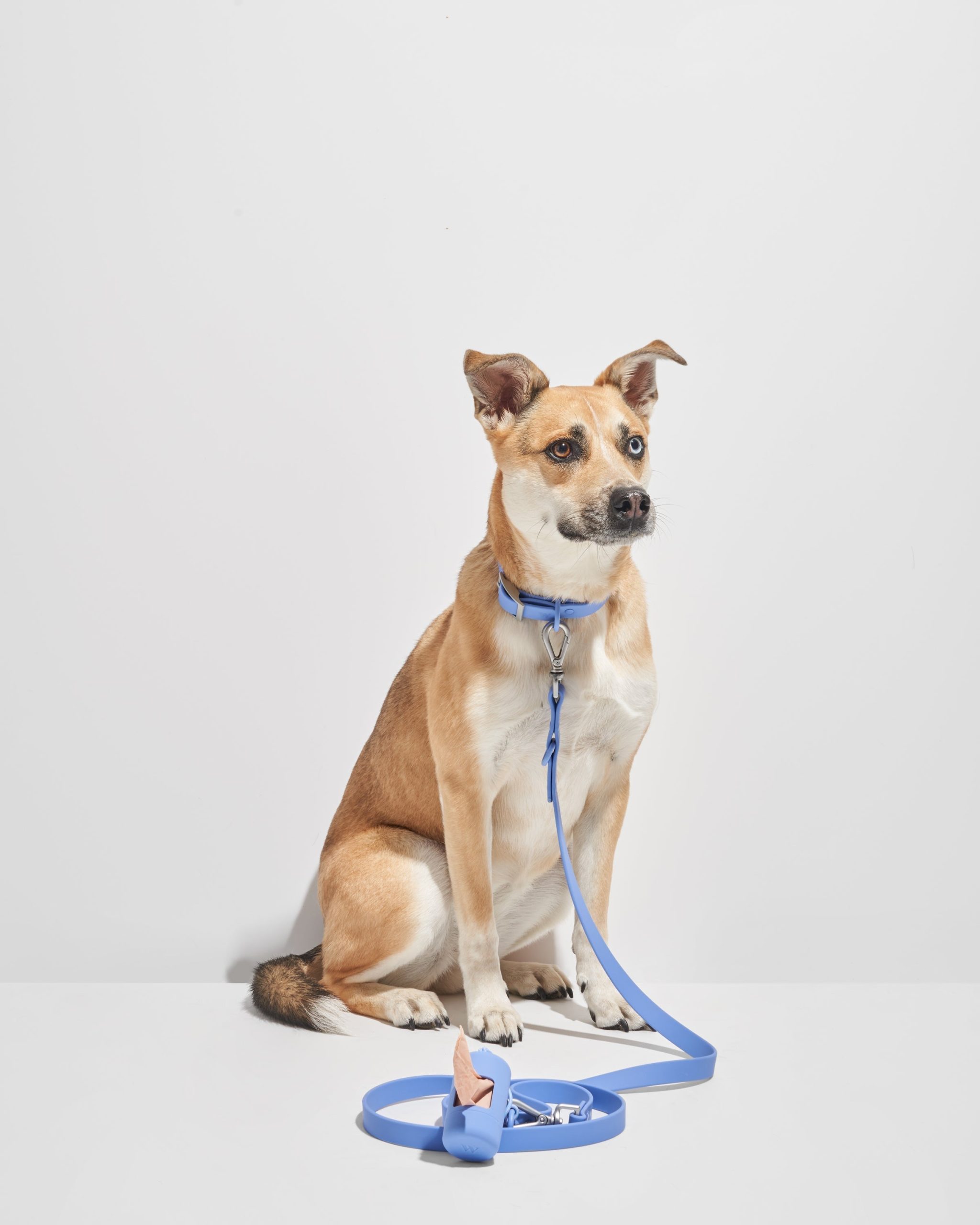 Waterproof Dog Collar - Image 27