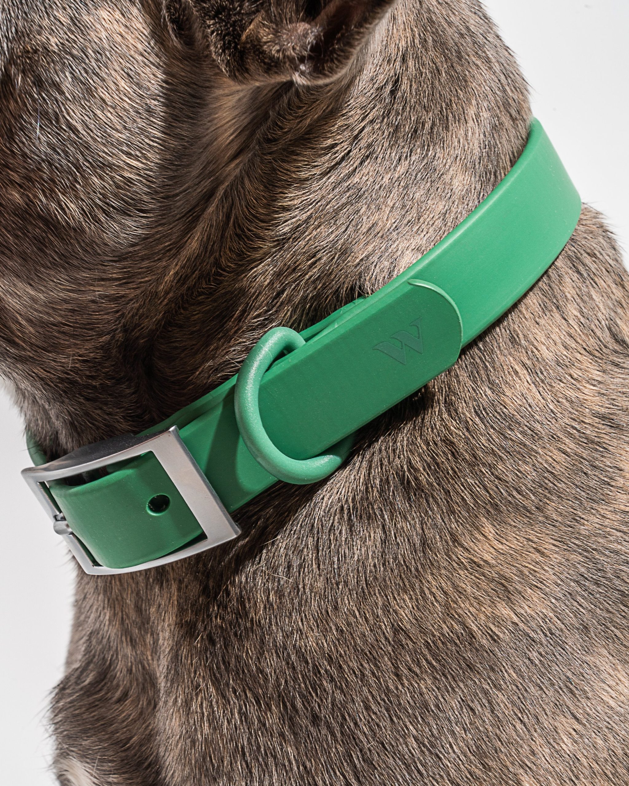 Waterproof Dog Collar - Image 39