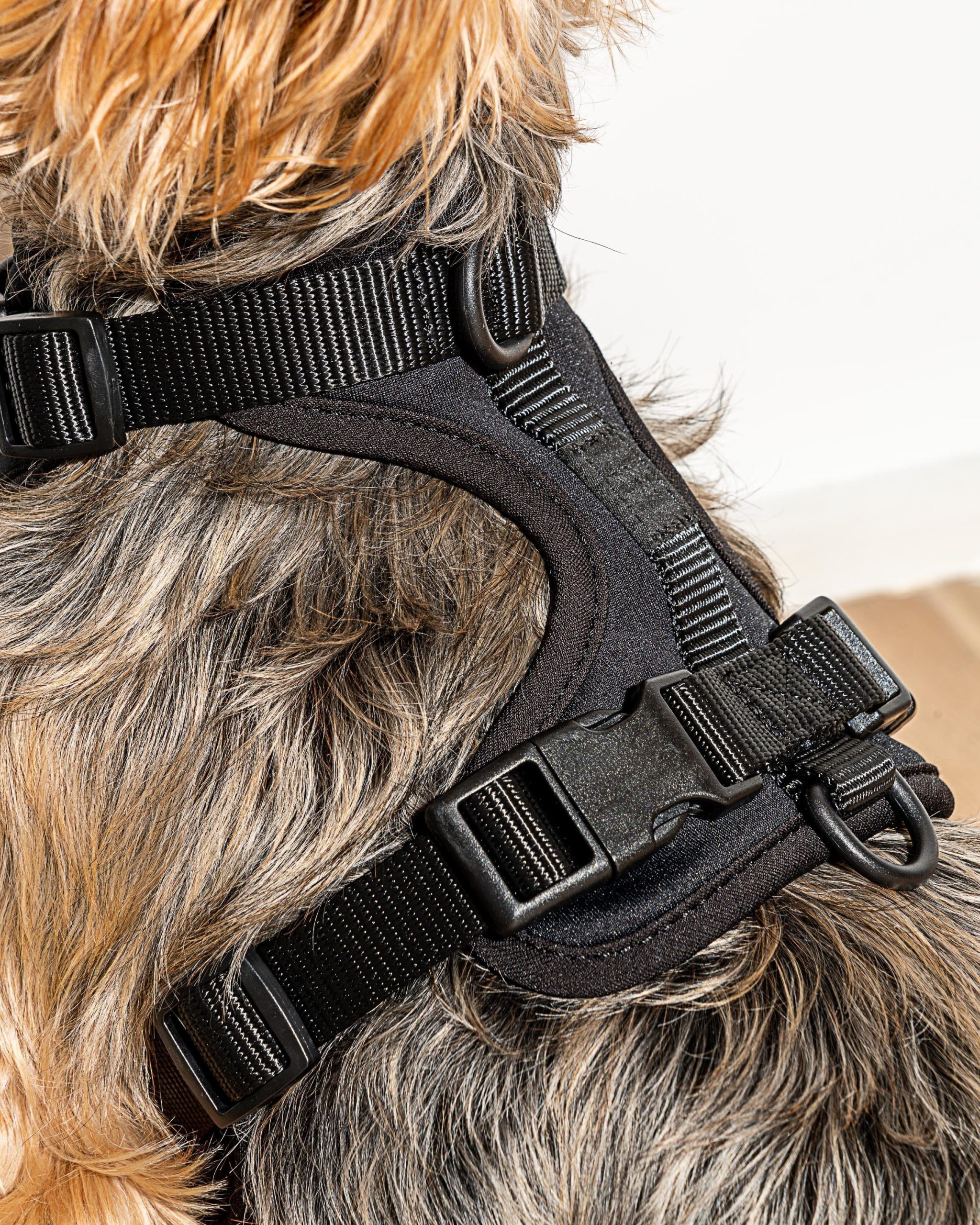 Cushioned Dog Harness - Image 52
