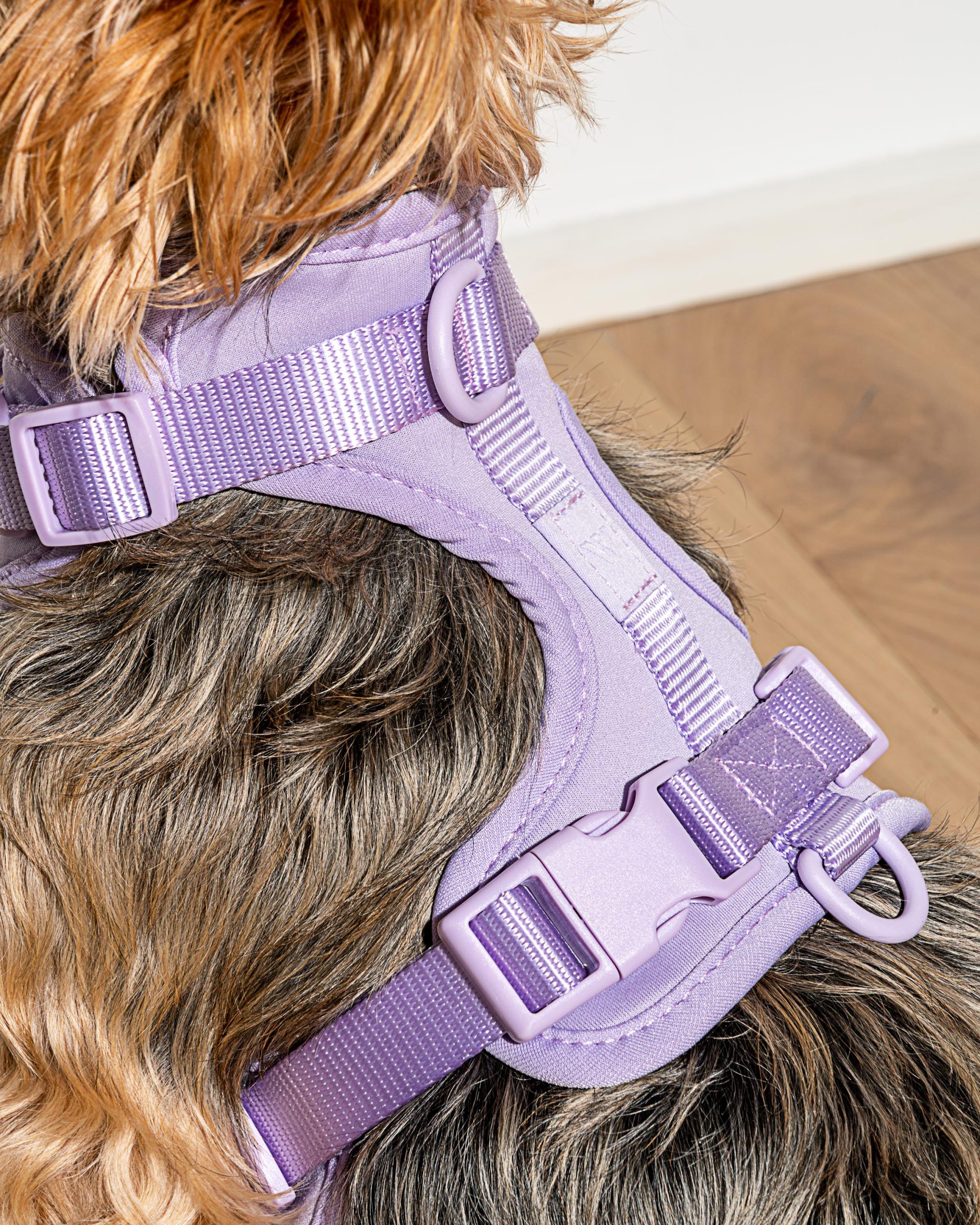 Cushioned Dog Harness - Image 39