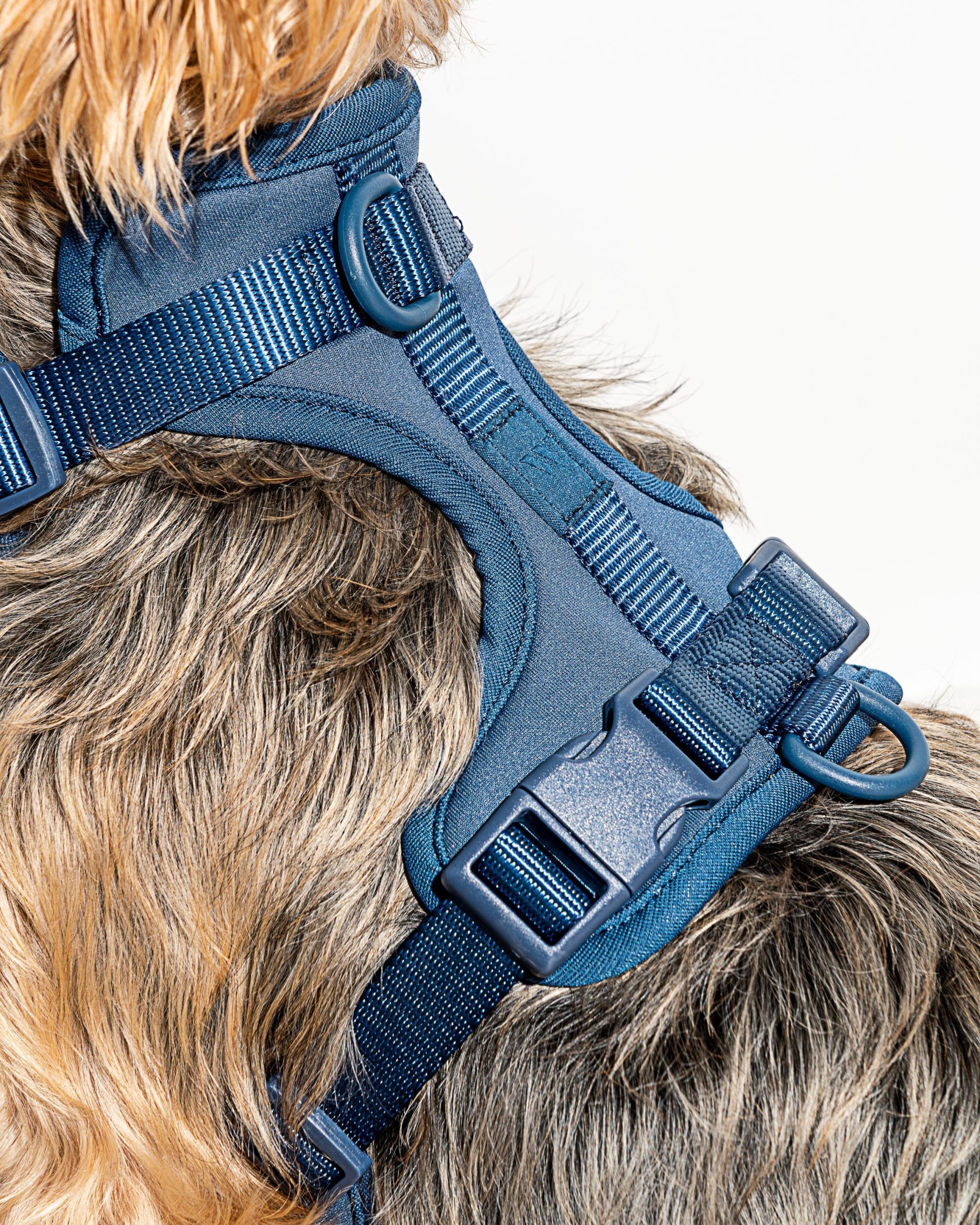 Cushioned Dog Harness - Image 44