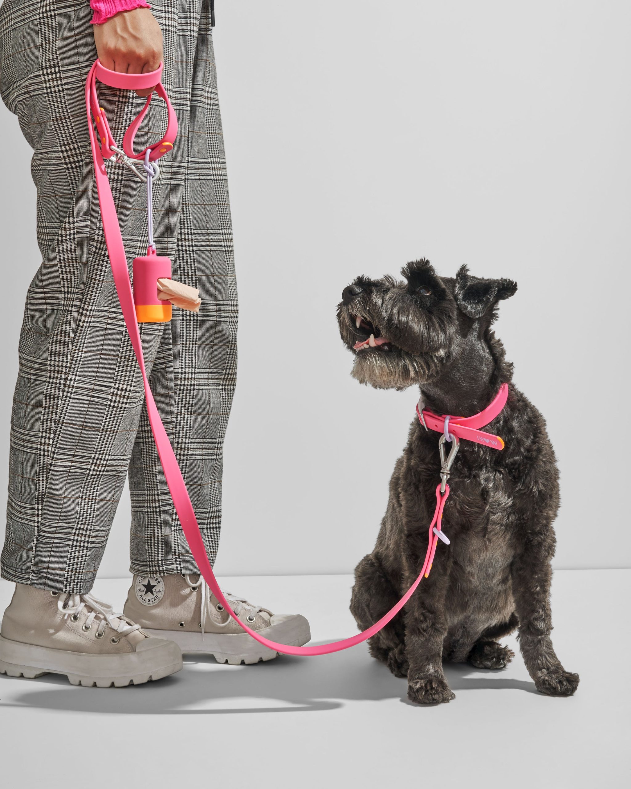 Waterproof Dog Collar - Image 91