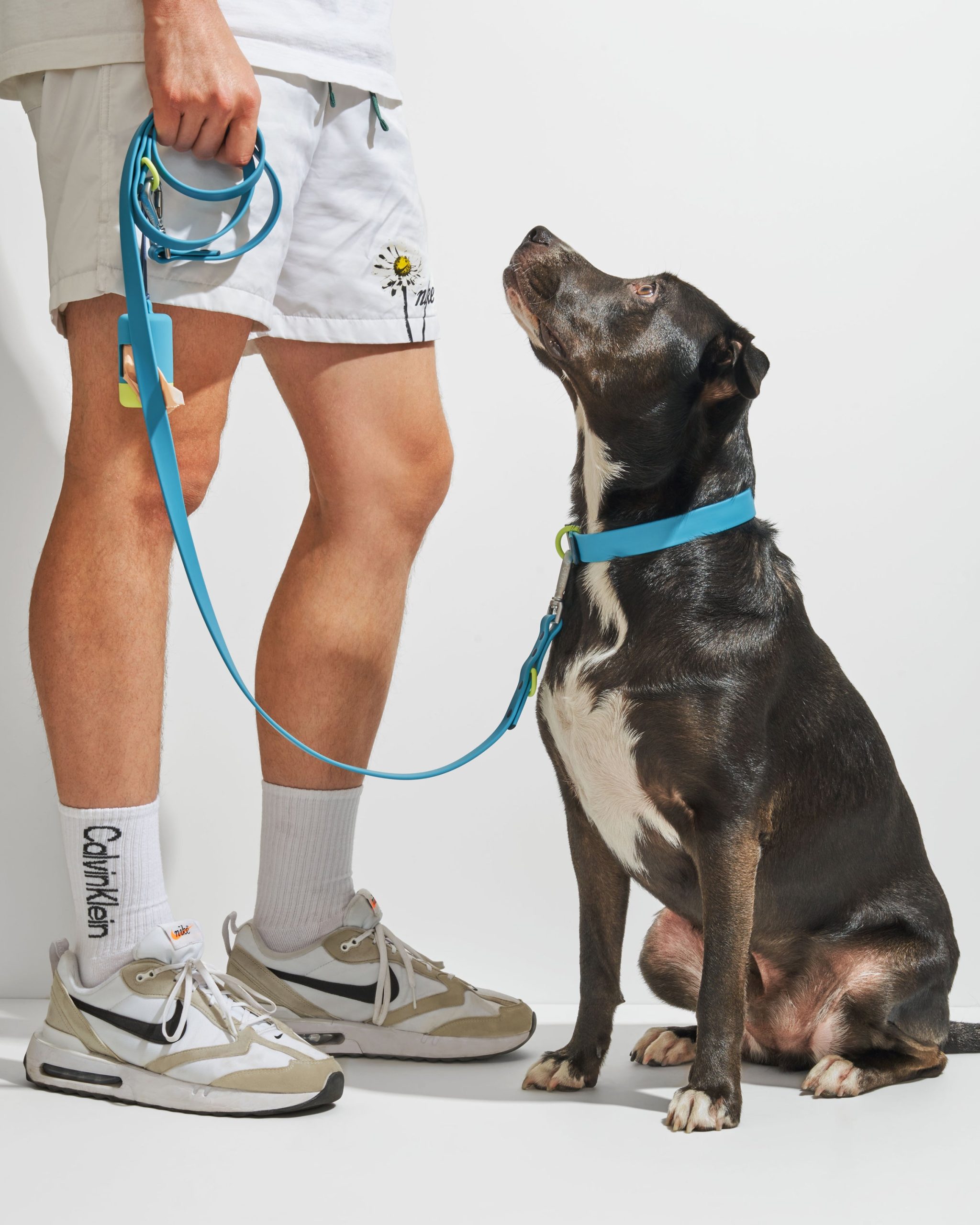 Waterproof Dog Collar - Image 97