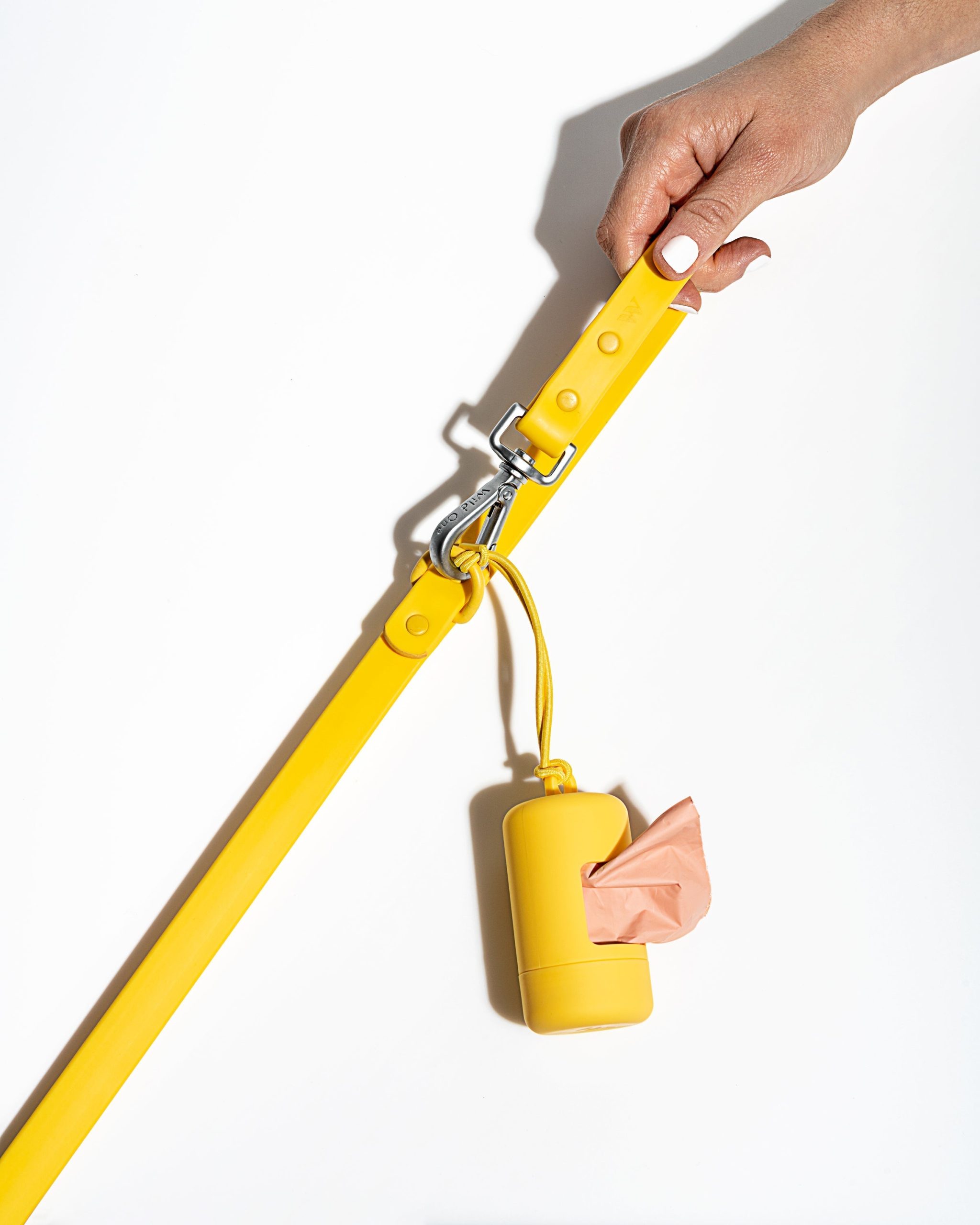 Waterproof Dog Leash - Image 42