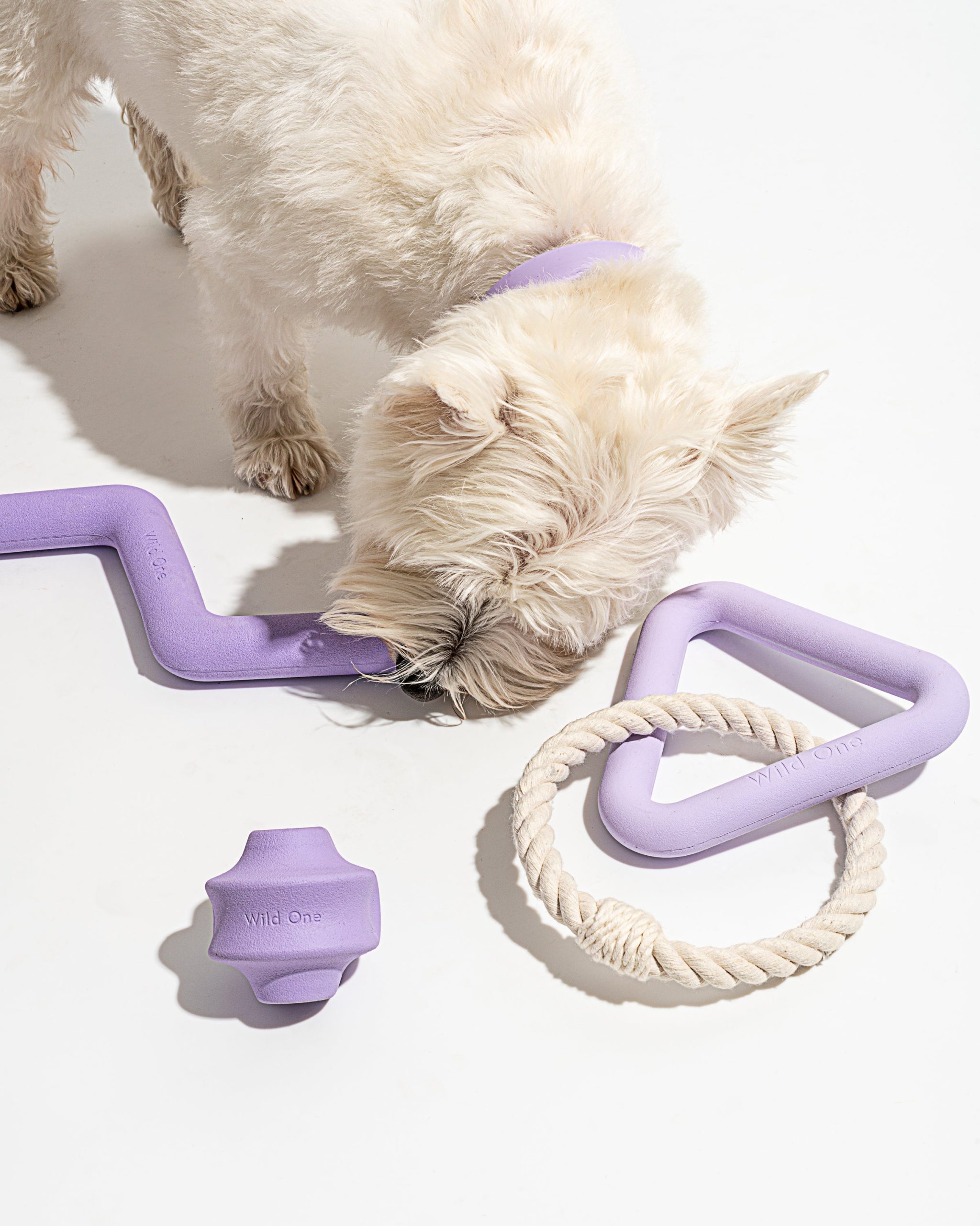 Dog Toy Kit - Image 14
