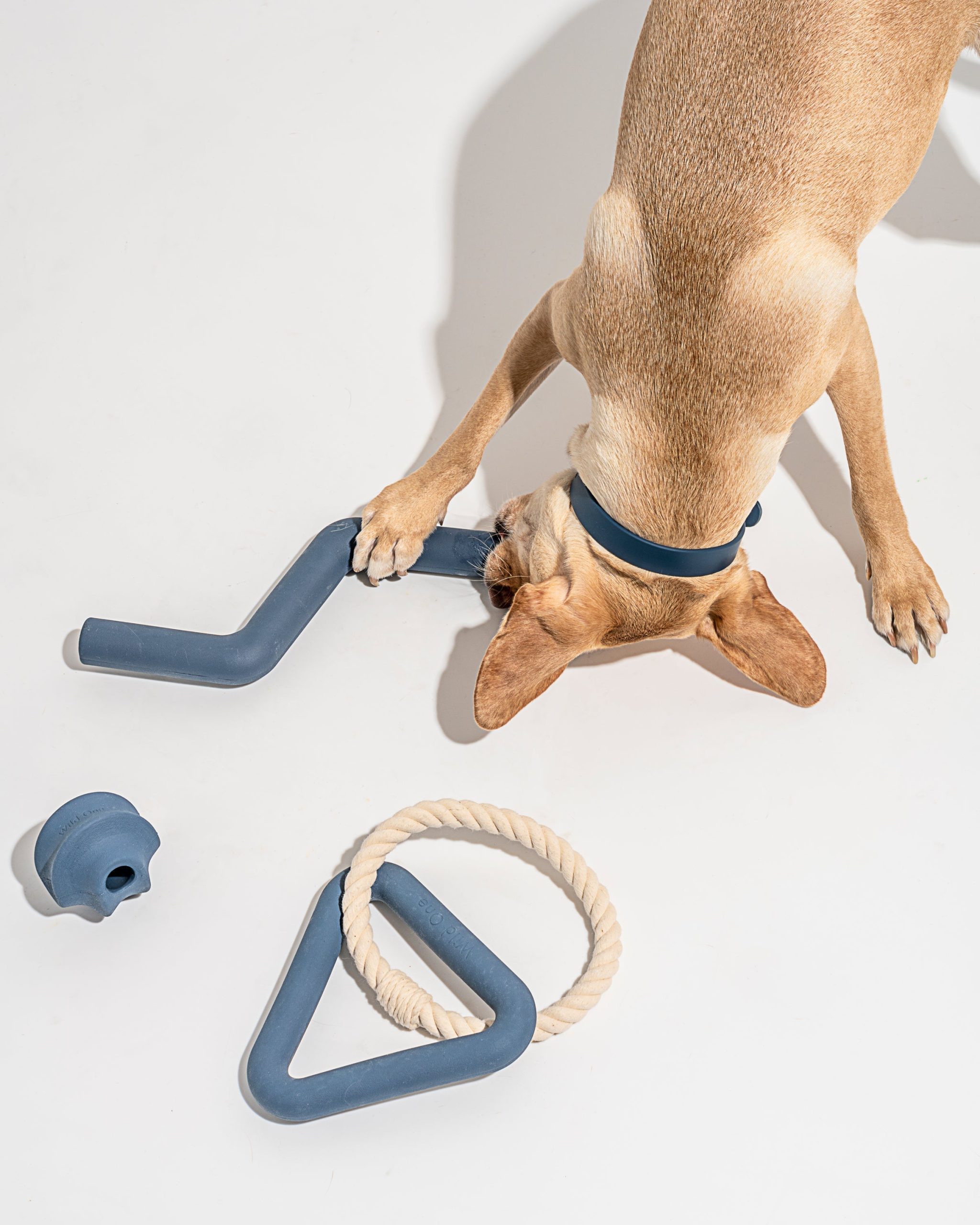 Dog Toy Kit - Image 32