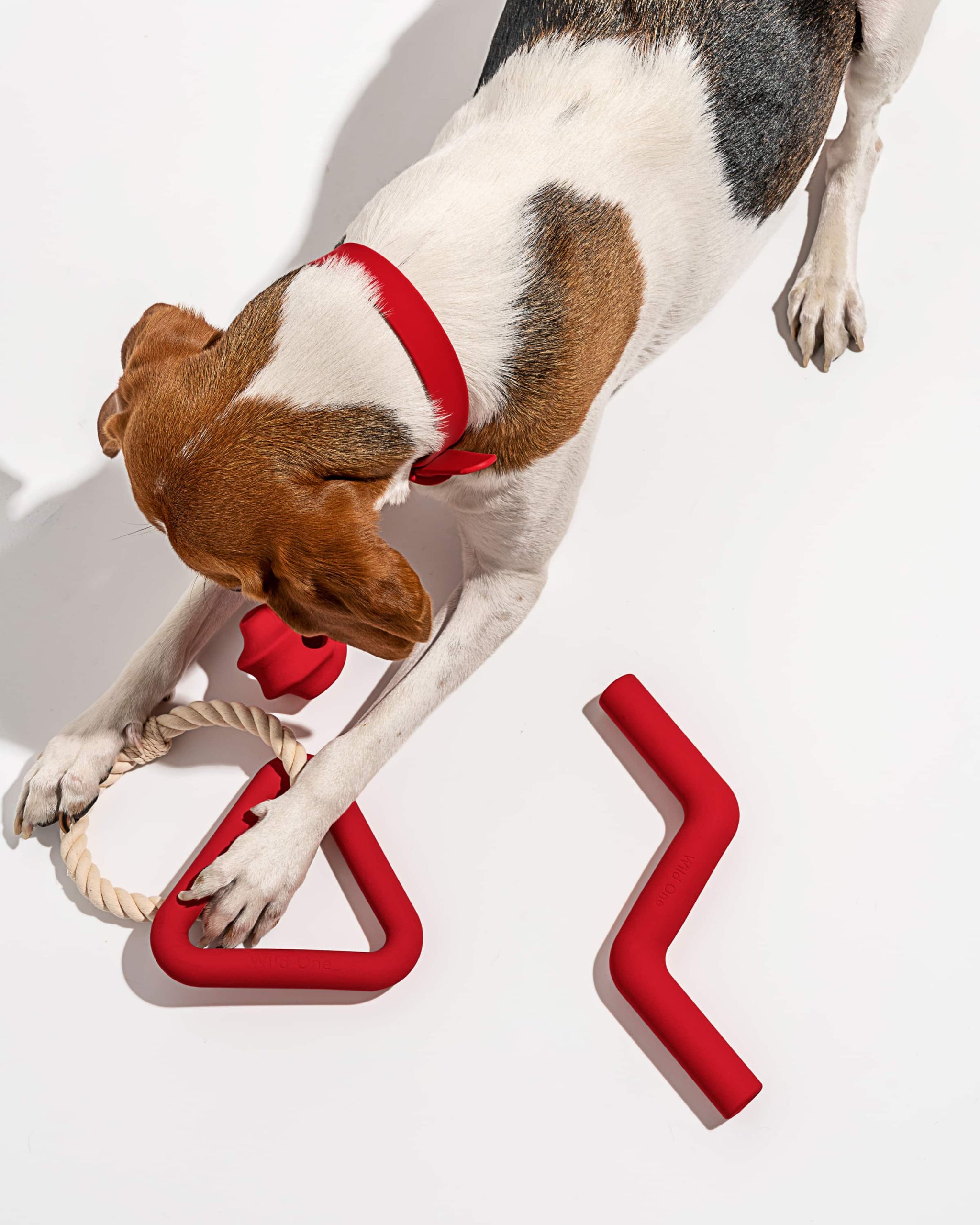 Dog Toy Kit - Image 20