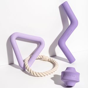 Dog Toy Kit