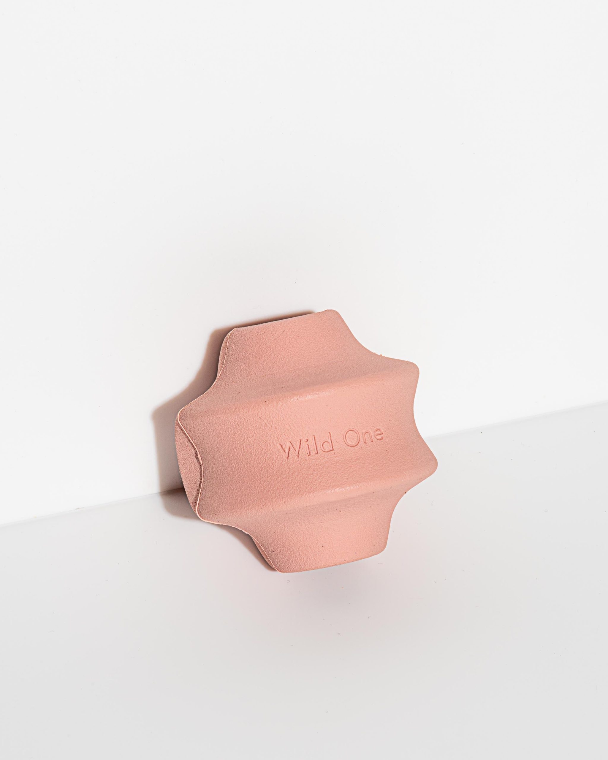 Dog Toy Kit - Image 29