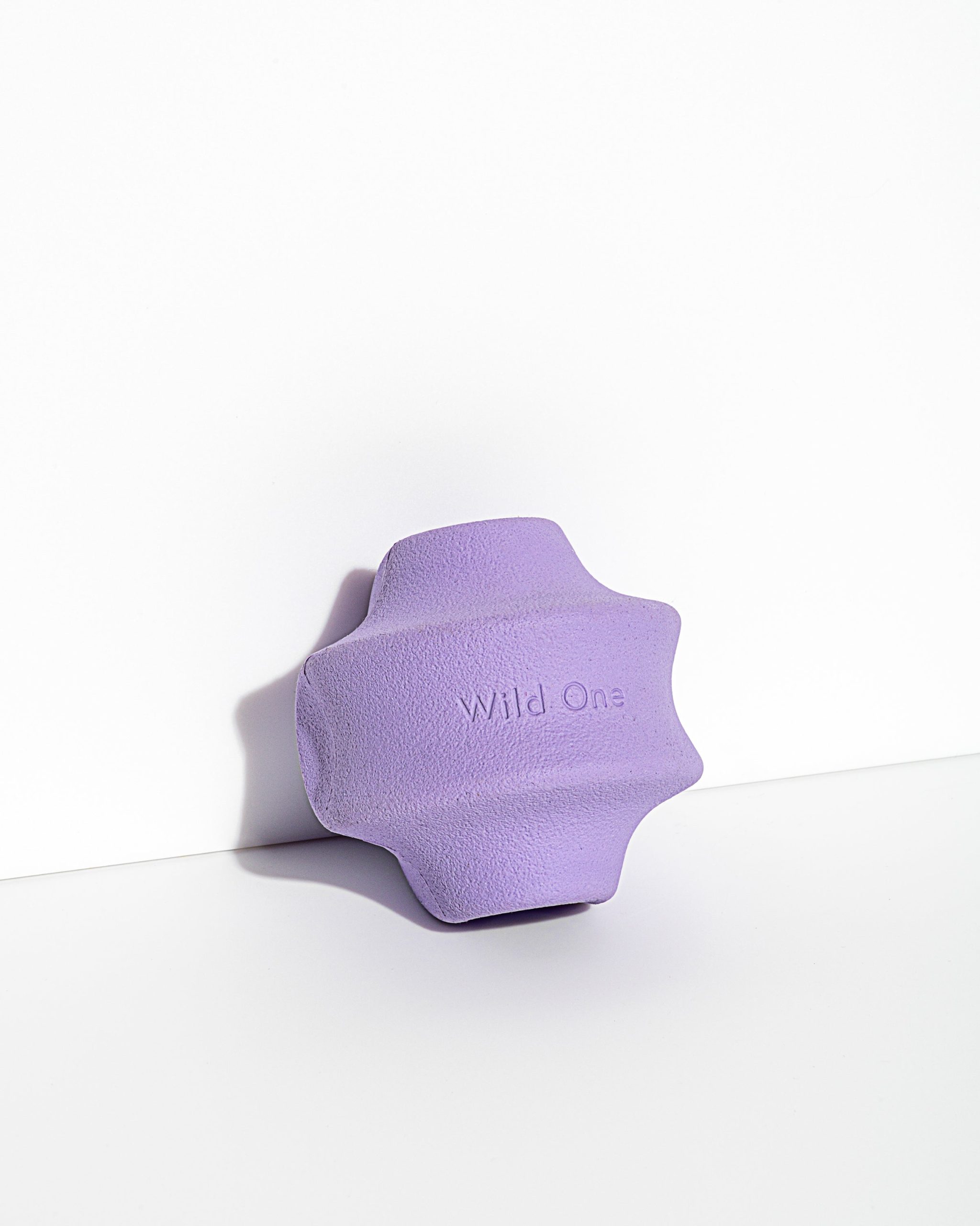 Dog Toy Kit - Image 17