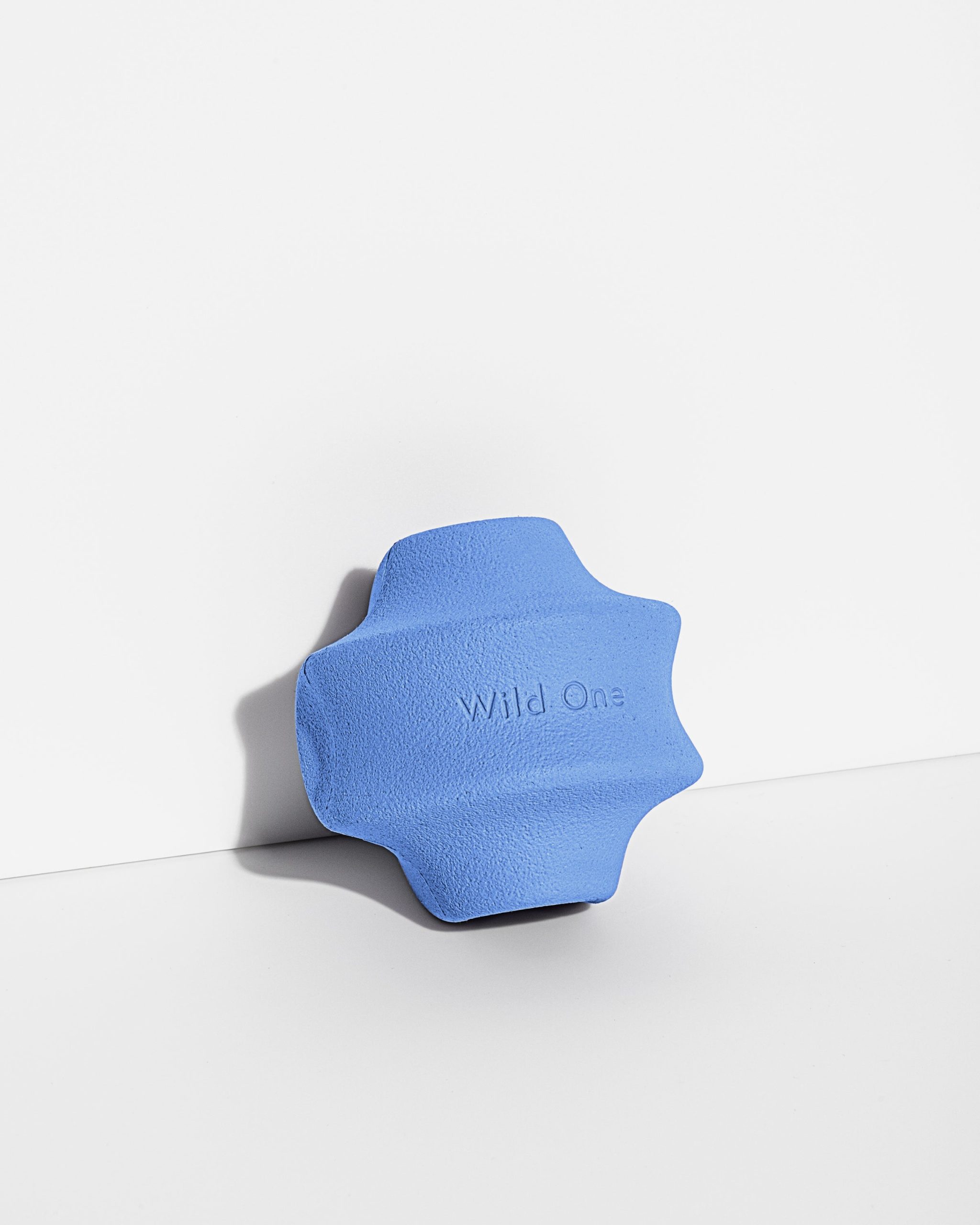 Dog Toy Kit - Image 6