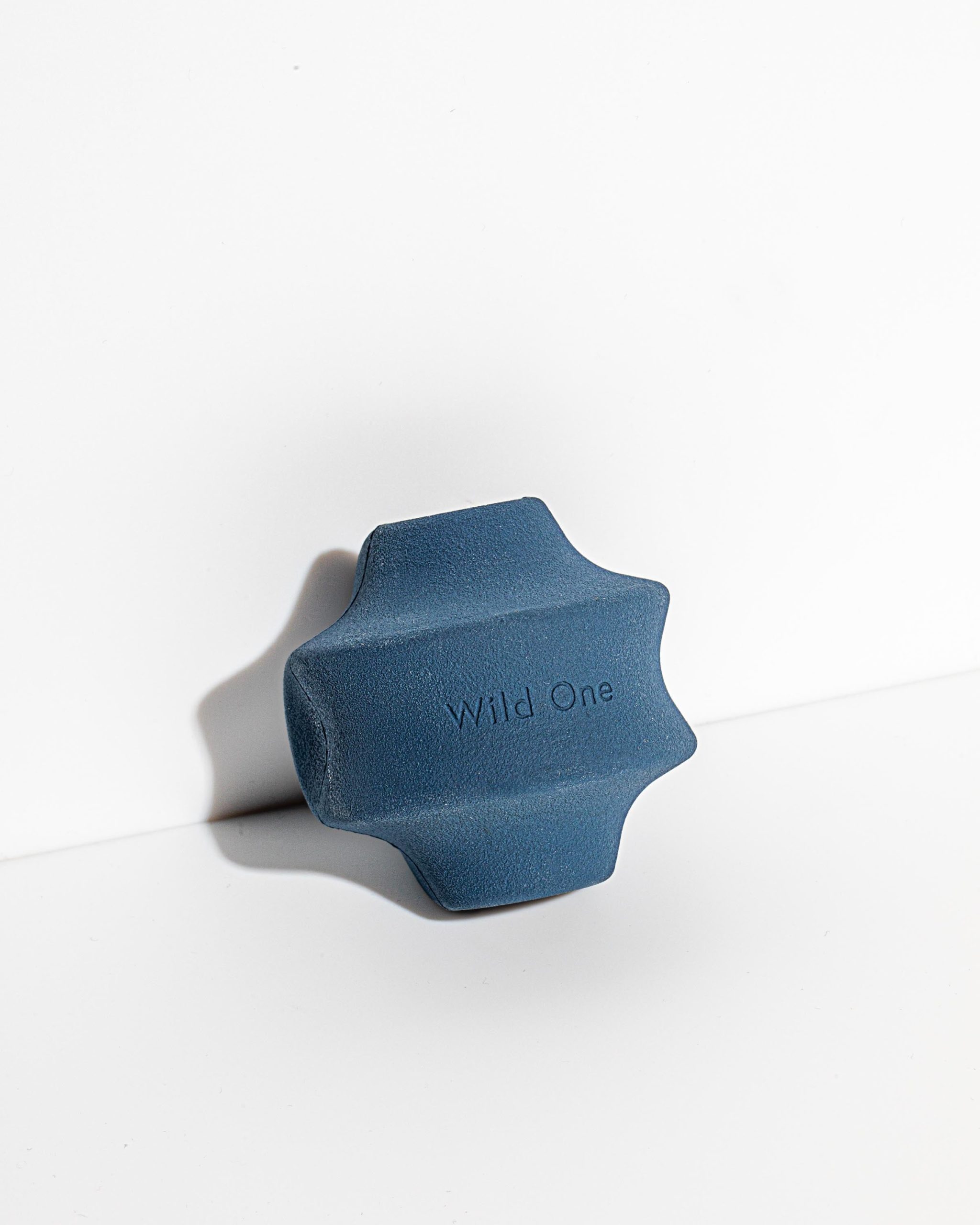 Dog Toy Kit - Image 35