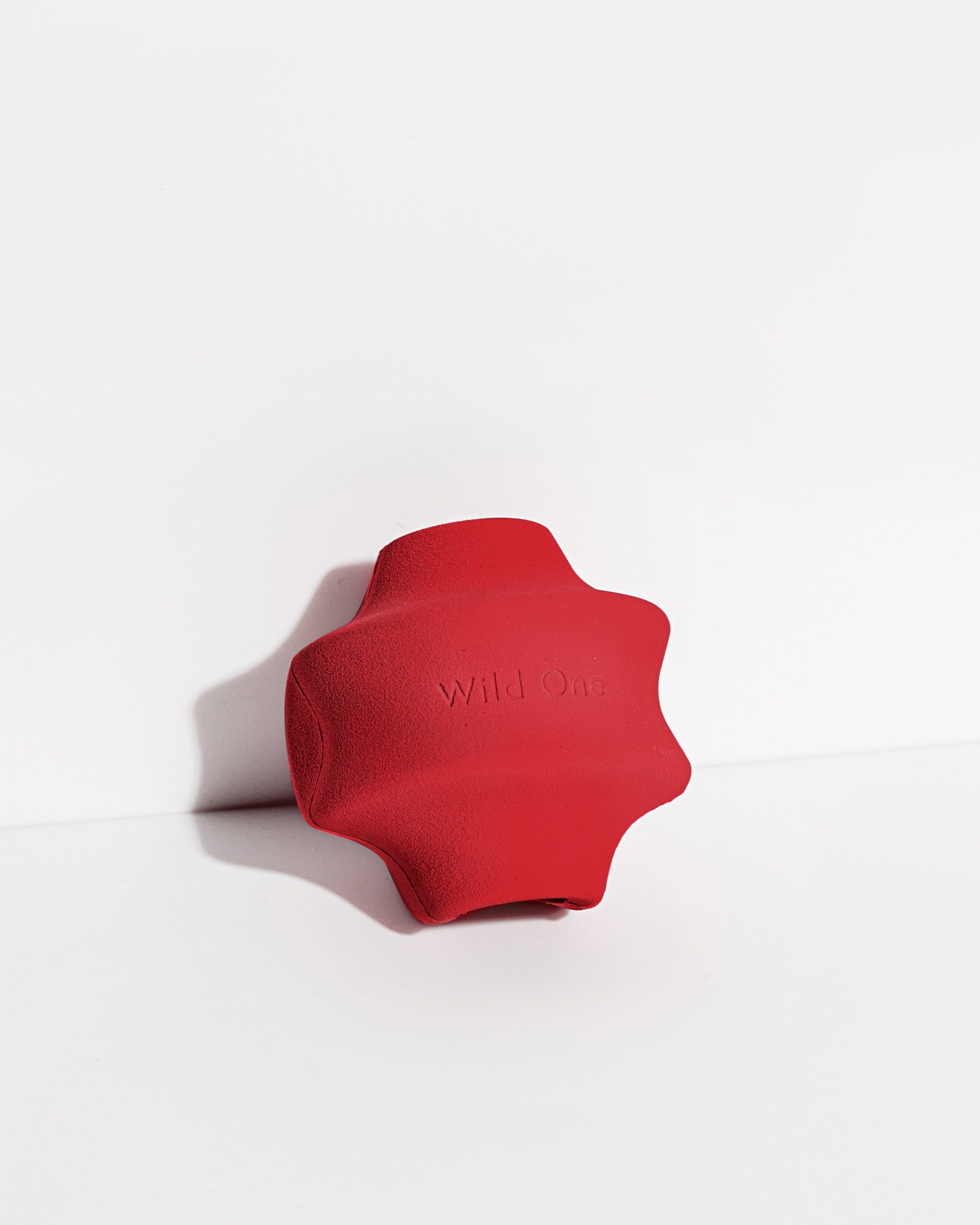 Dog Toy Kit - Image 24