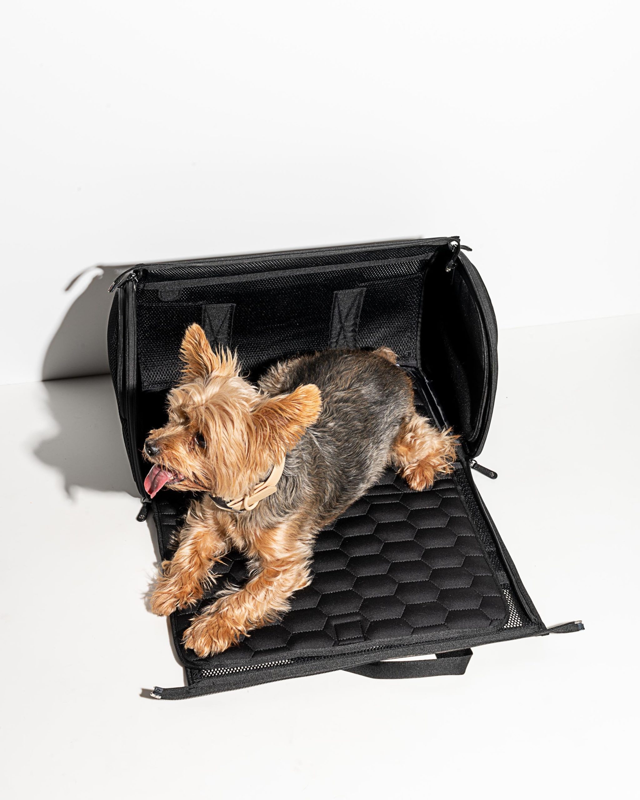 Travel Carrier - Image 2