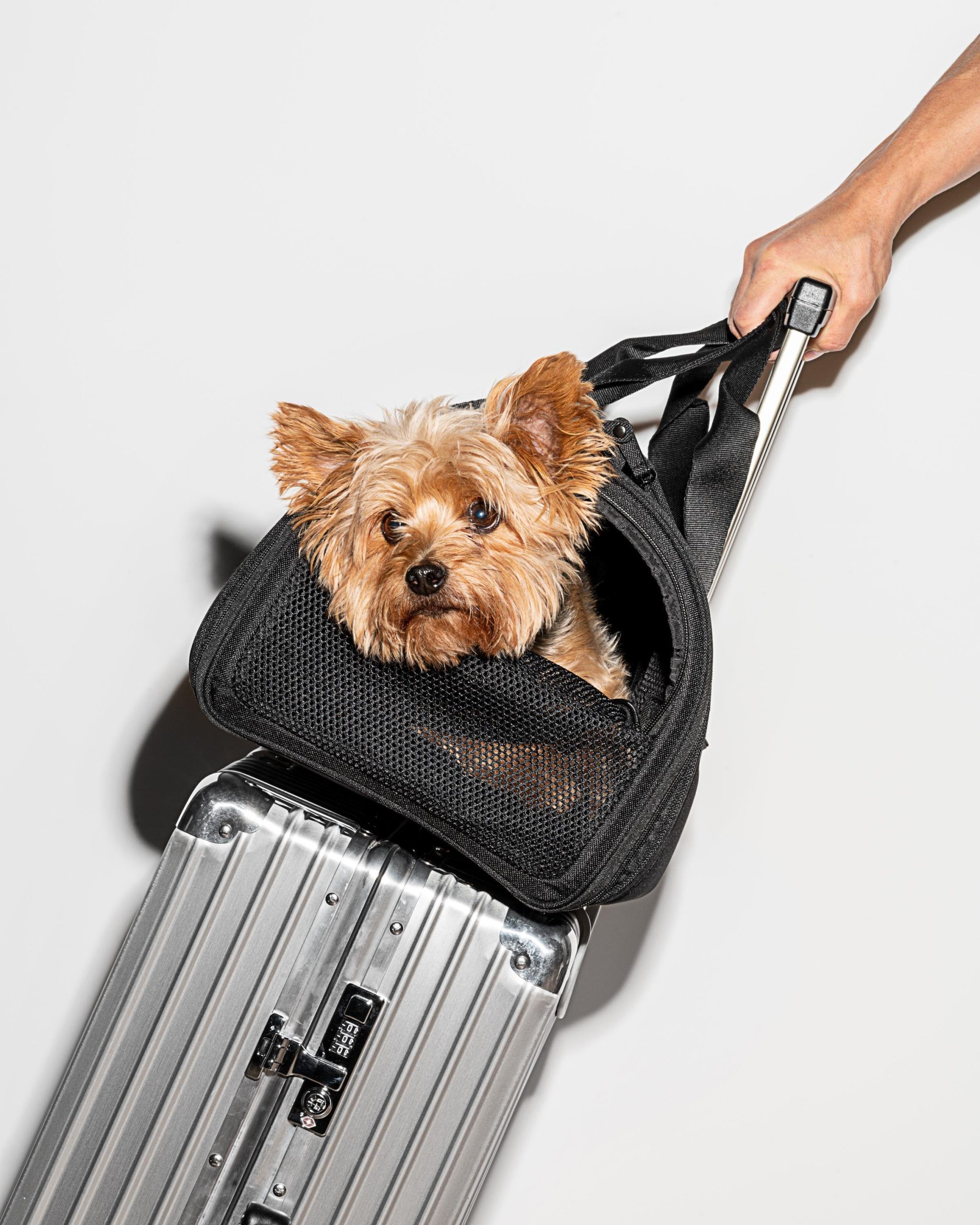 Travel Carrier - Image 7
