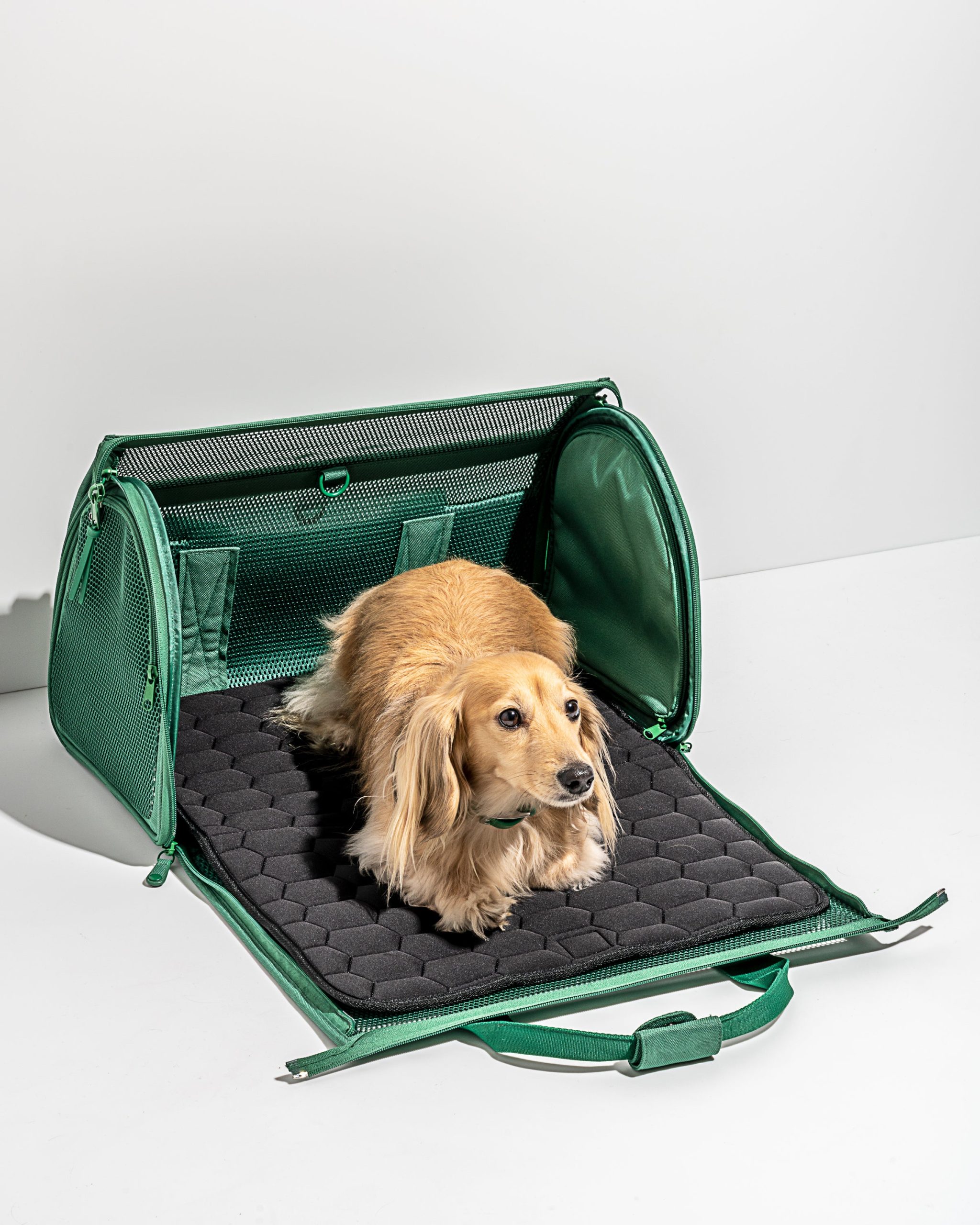 Travel Carrier - Image 4