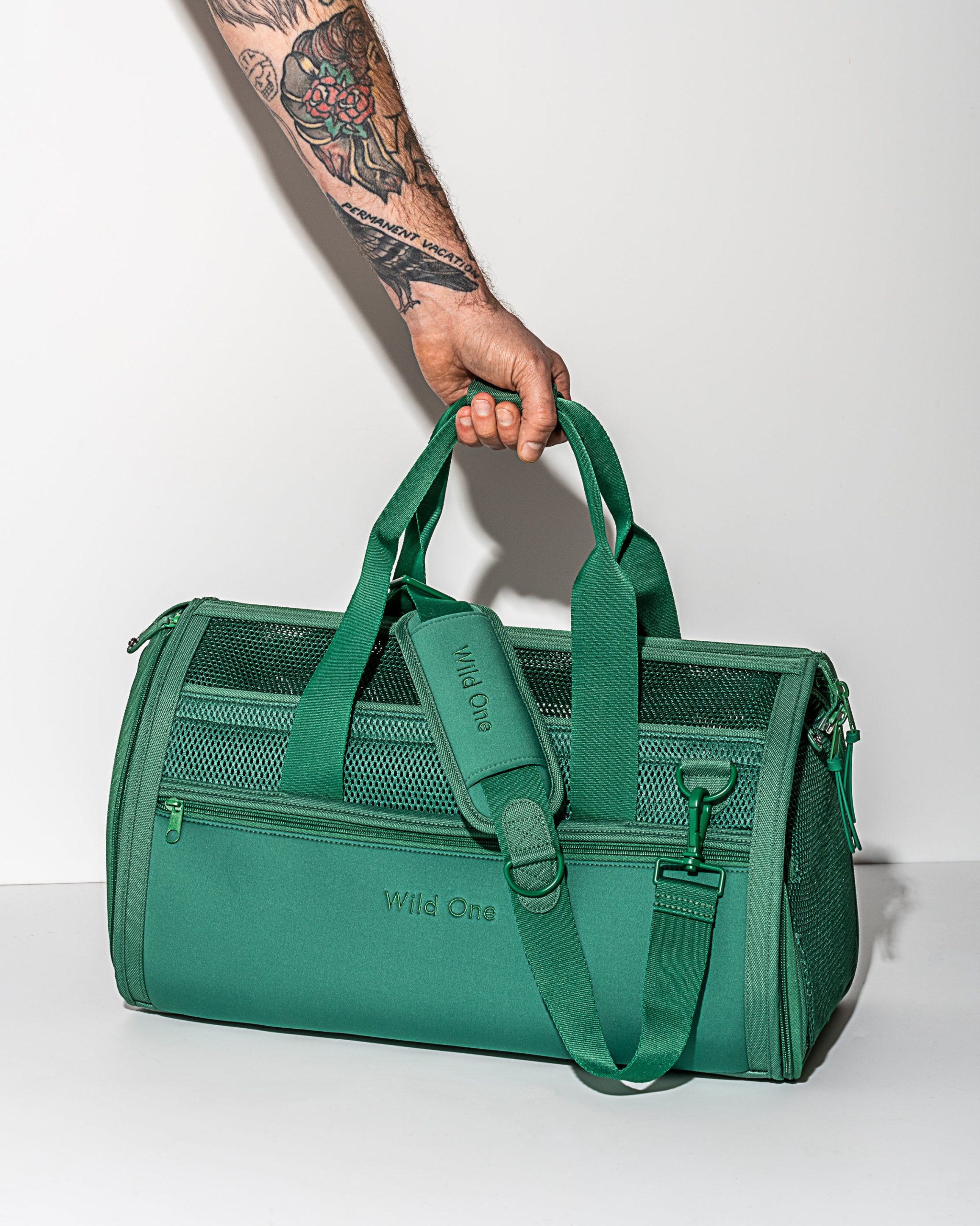 Travel Carrier - Image 3