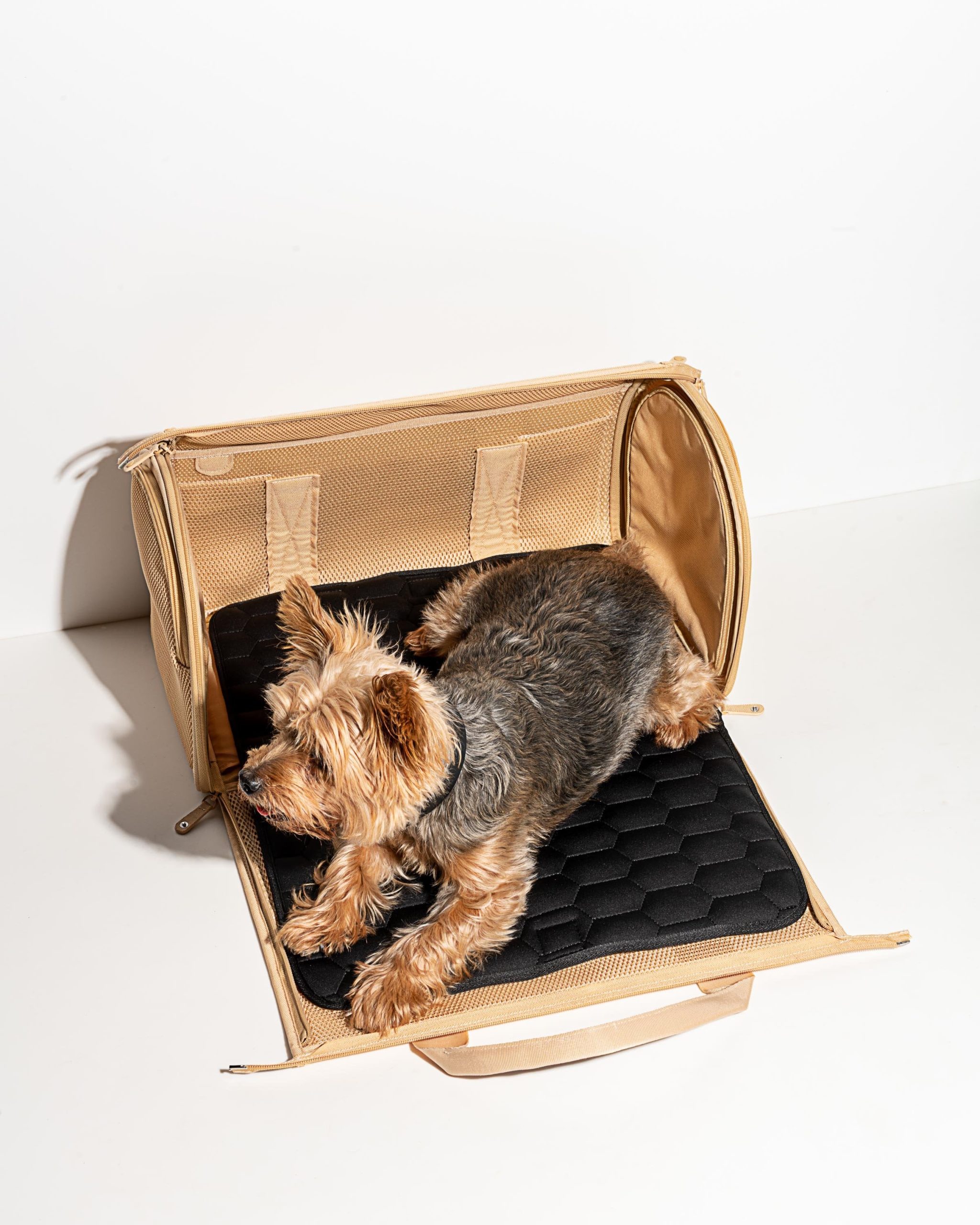 Travel Carrier - Image 6