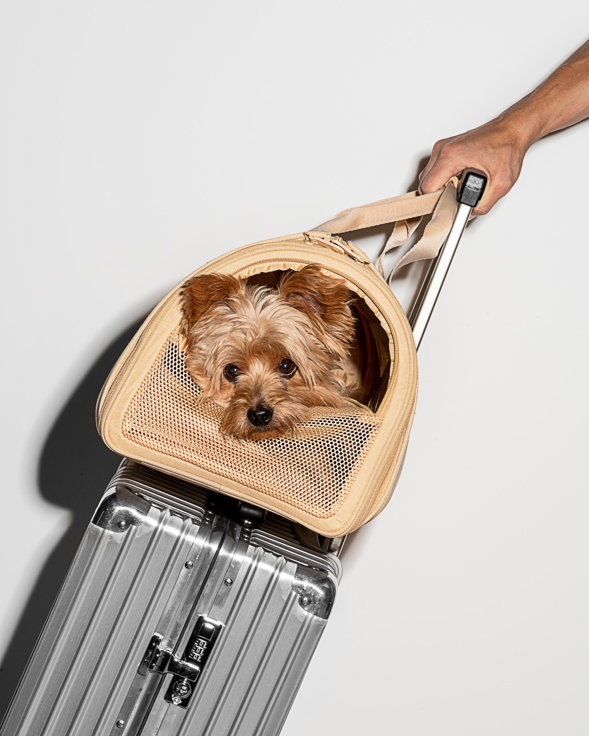 Travel Carrier - Image 11