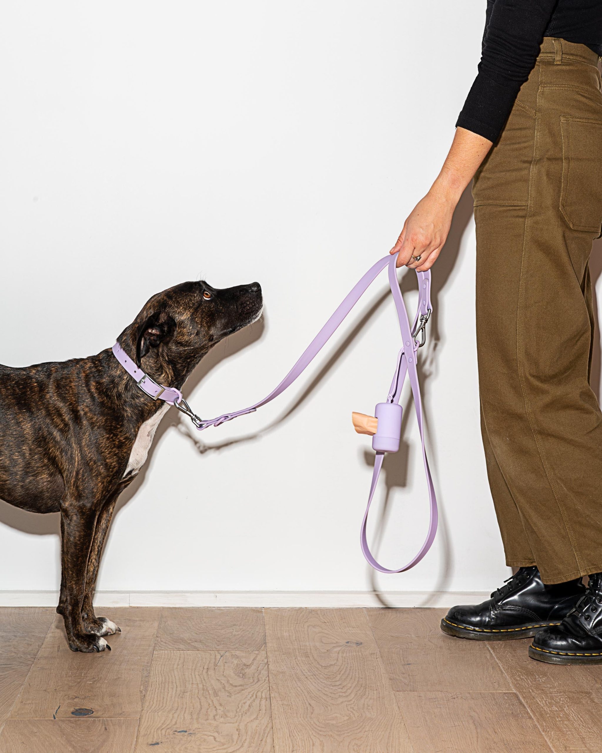 Waterproof Dog Collar - Image 53