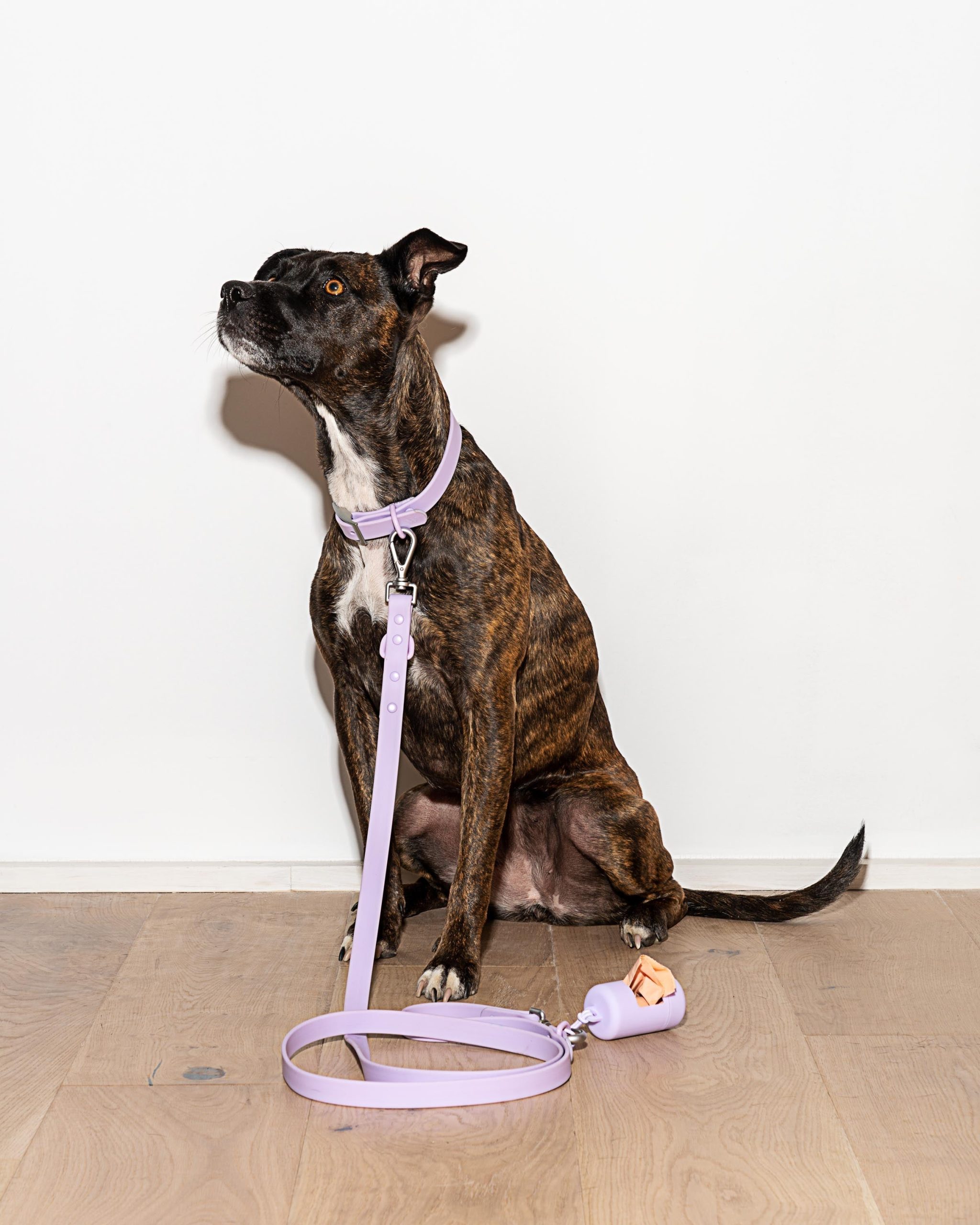 Waterproof Dog Leash - Image 6