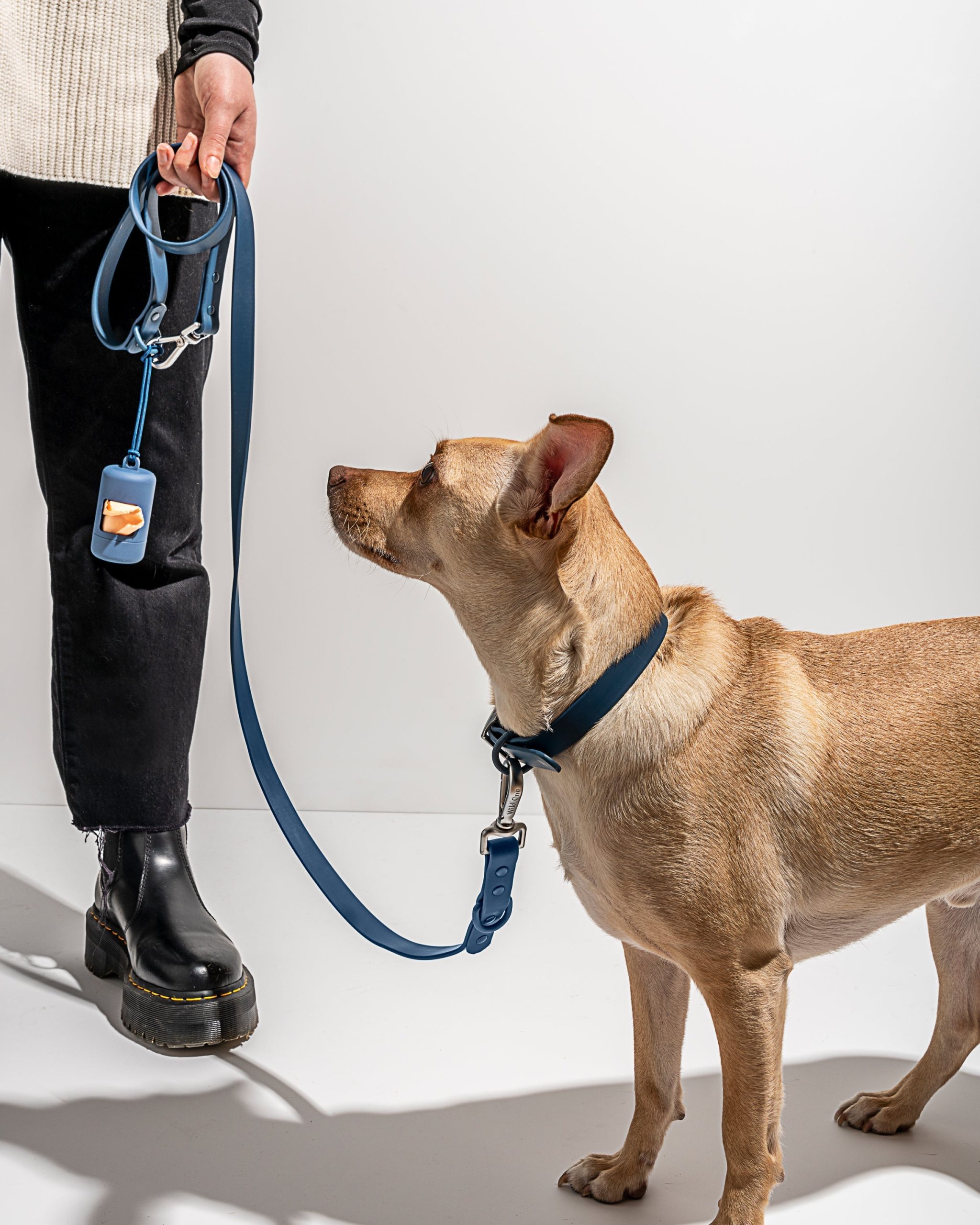 Waterproof Dog Collar - Image 45