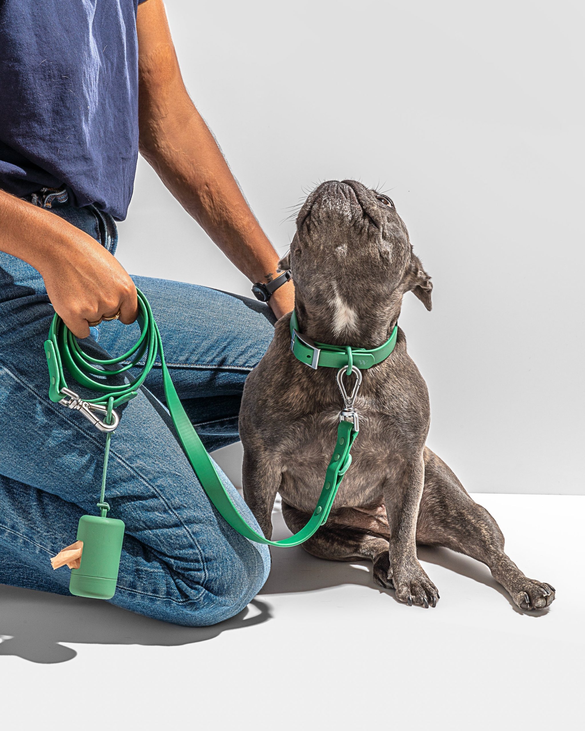 Waterproof Dog Collar - Image 40