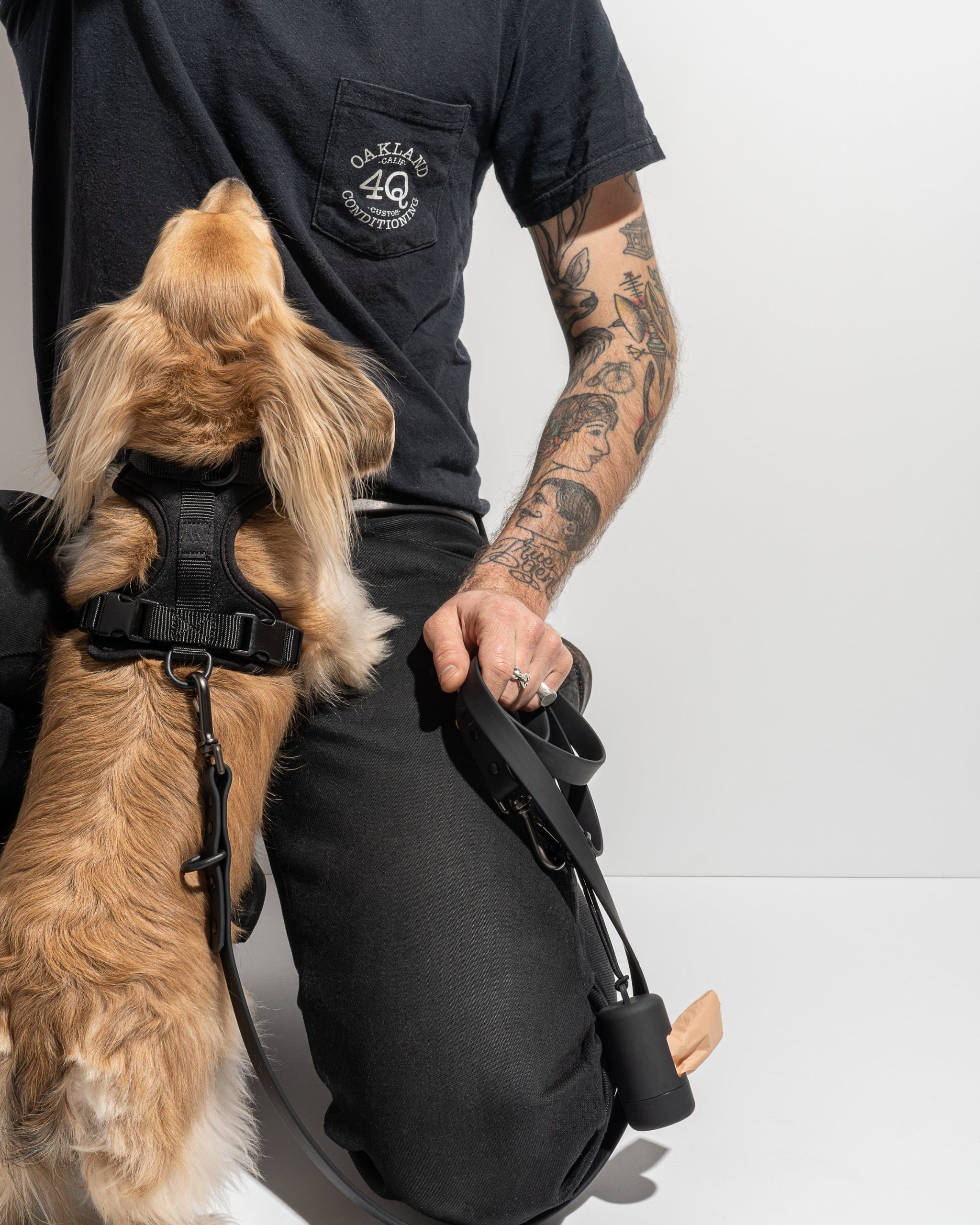 Cushioned Dog Harness - Image 51