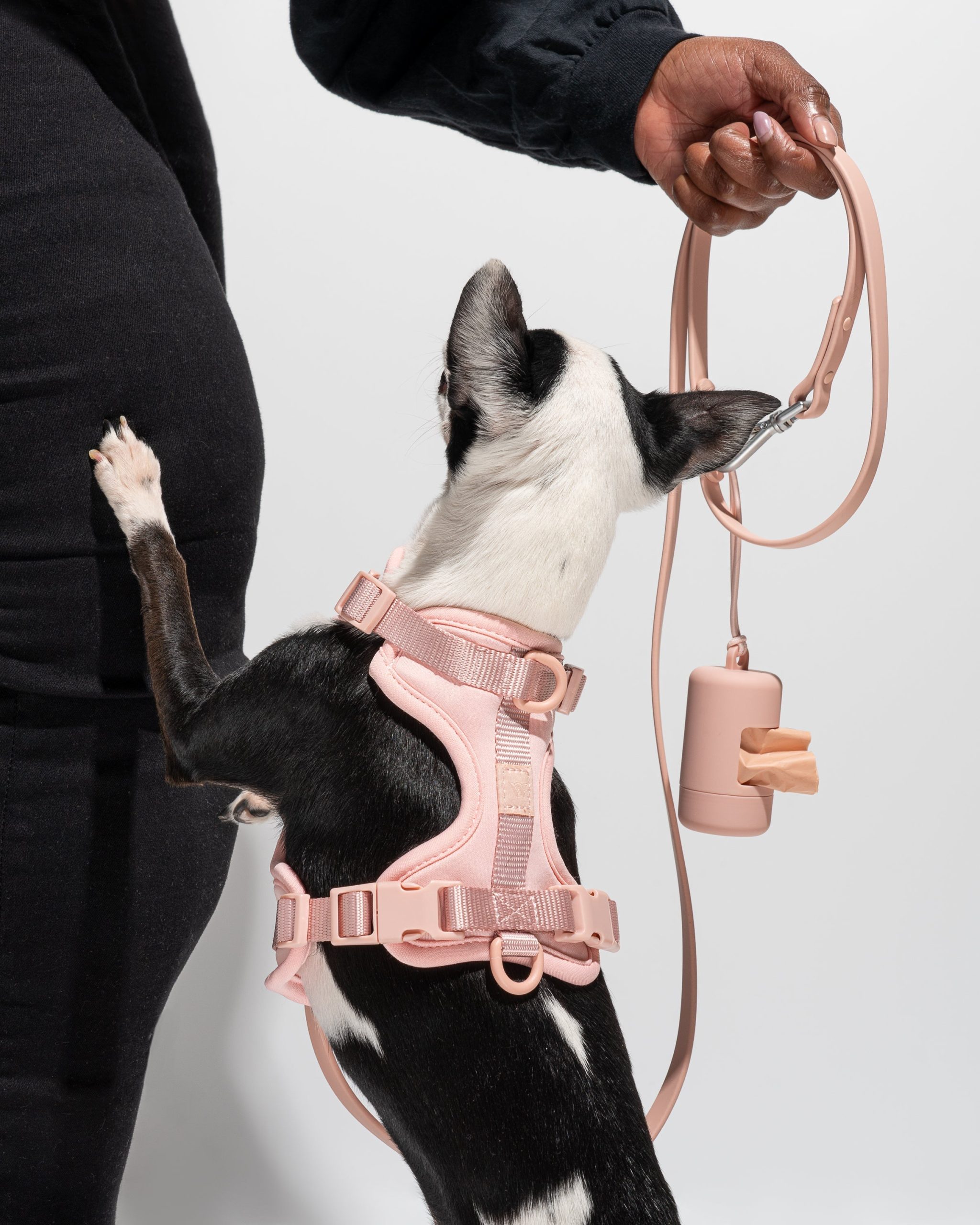 Poop Bag Carrier - Image 50