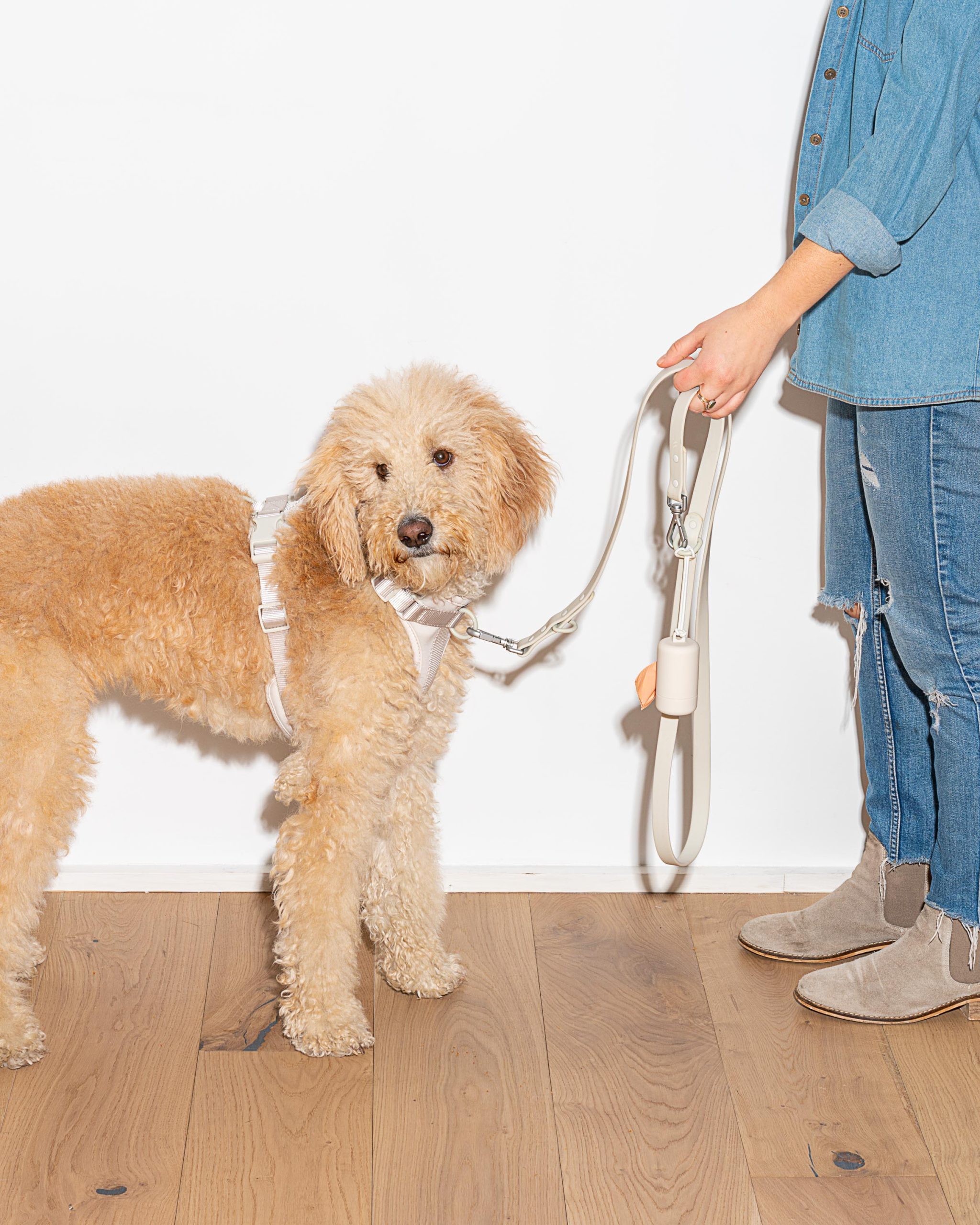 Waterproof Dog Leash - Image 65
