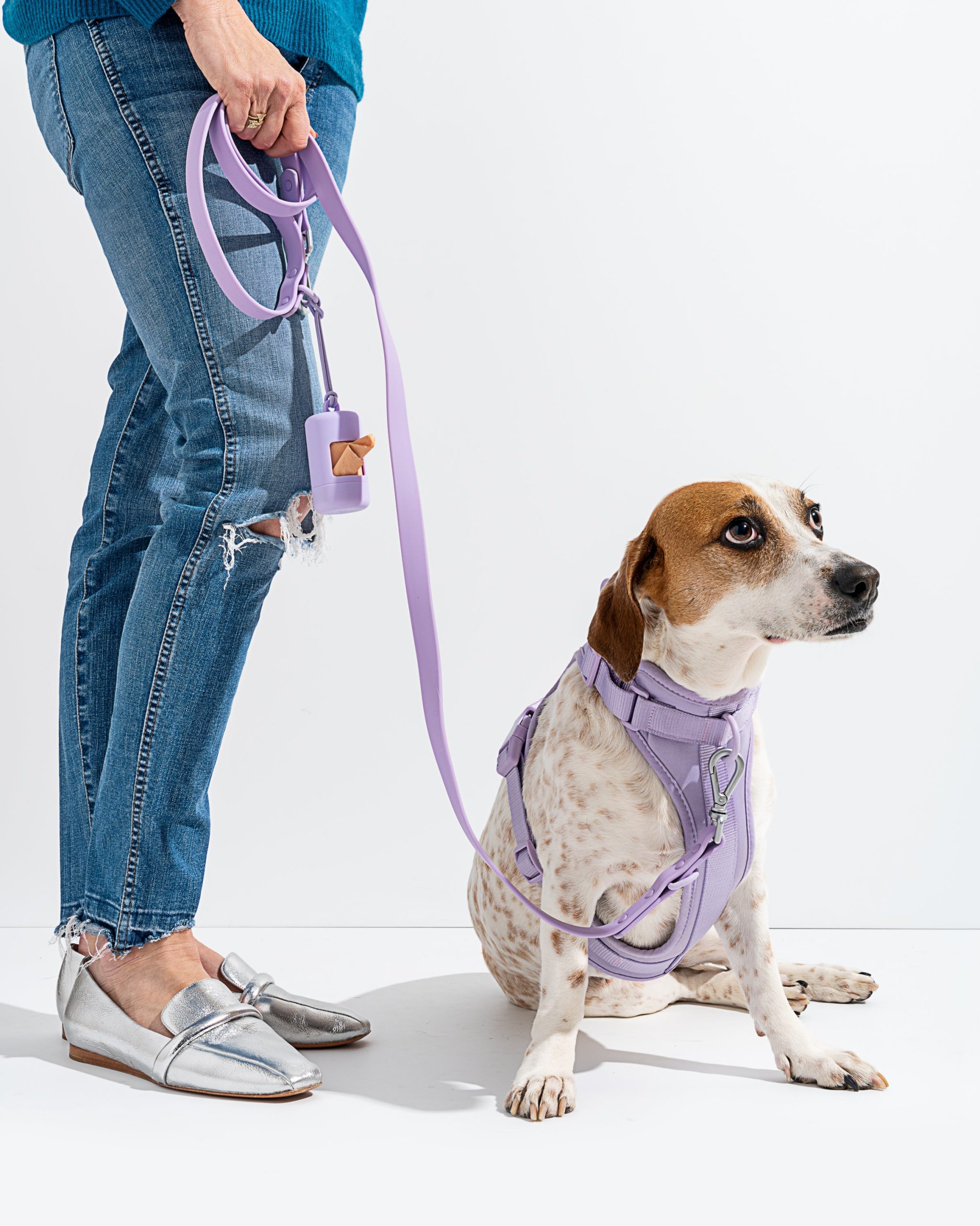 Cushioned Dog Harness - Image 38