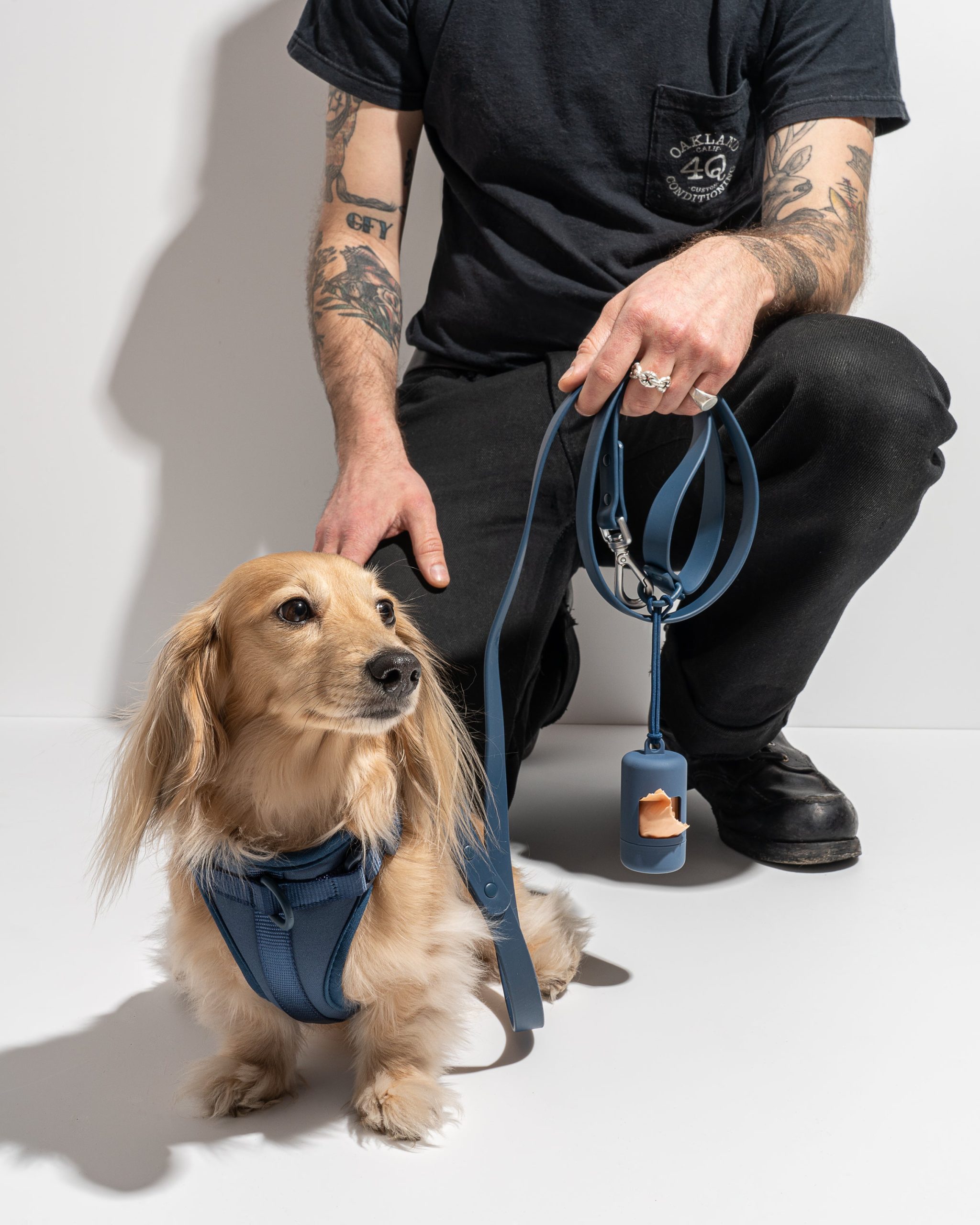 Cushioned Dog Harness - Image 45