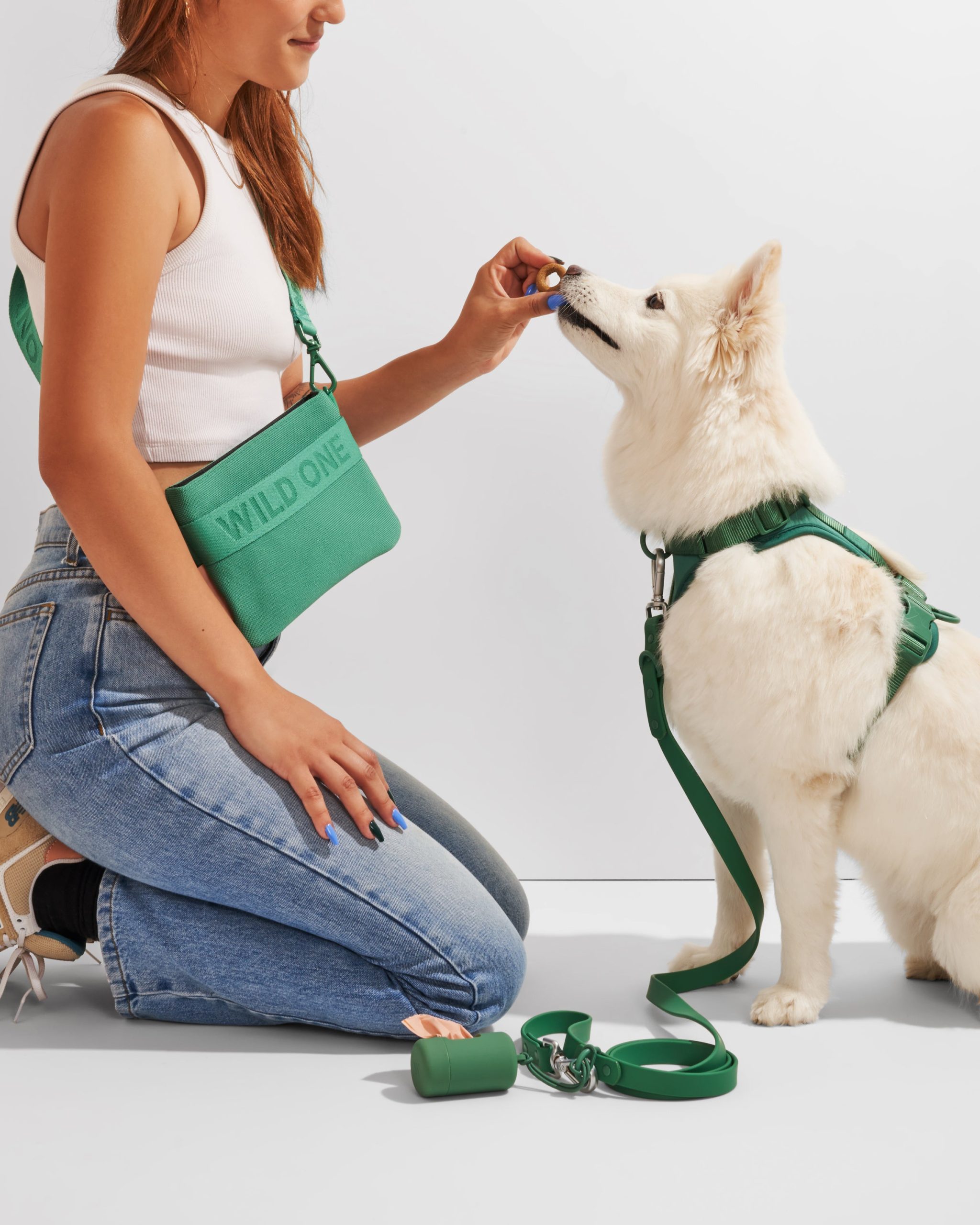 Treat Pouch - Image 27