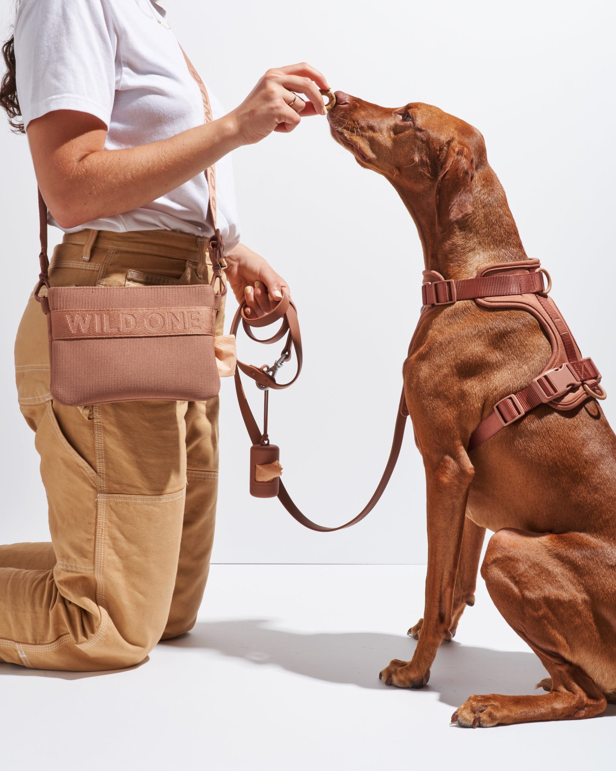 Treat Pouch - Image 32