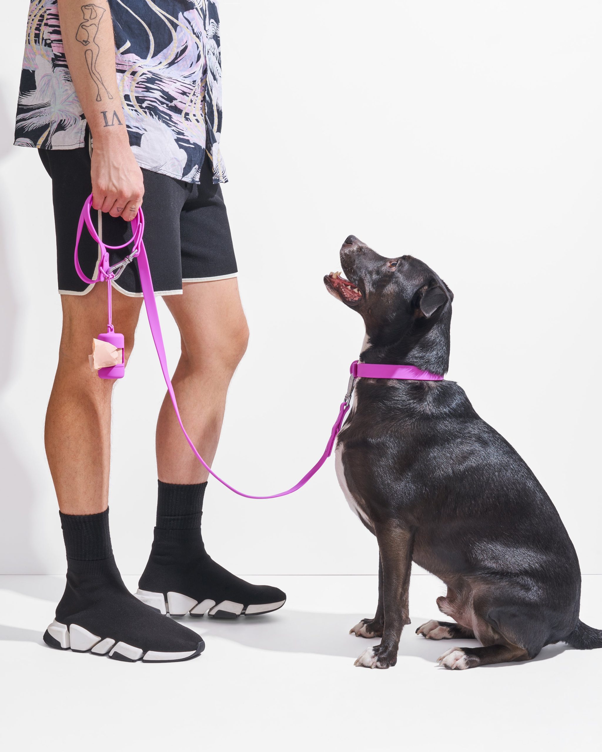 Waterproof Dog Collar - Image 24